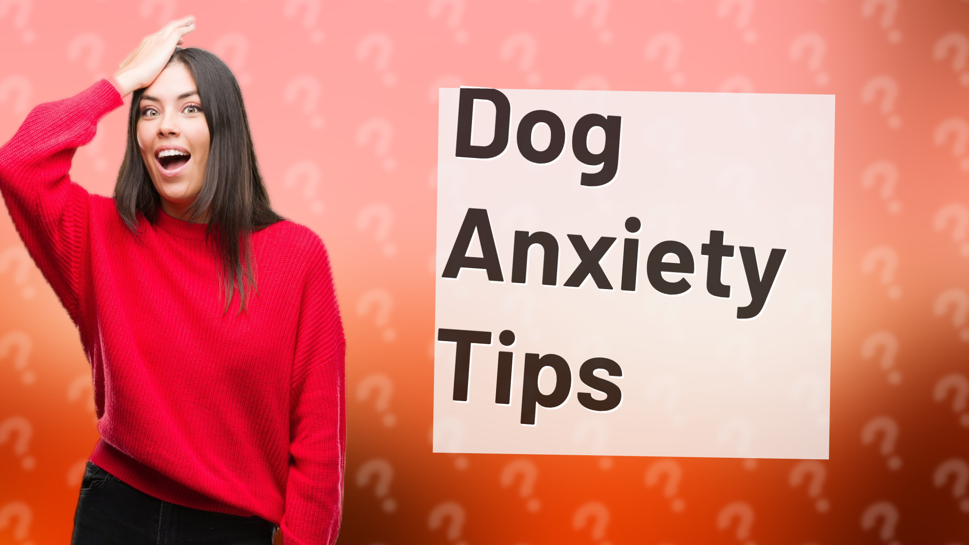 Dog Anxiety Tips