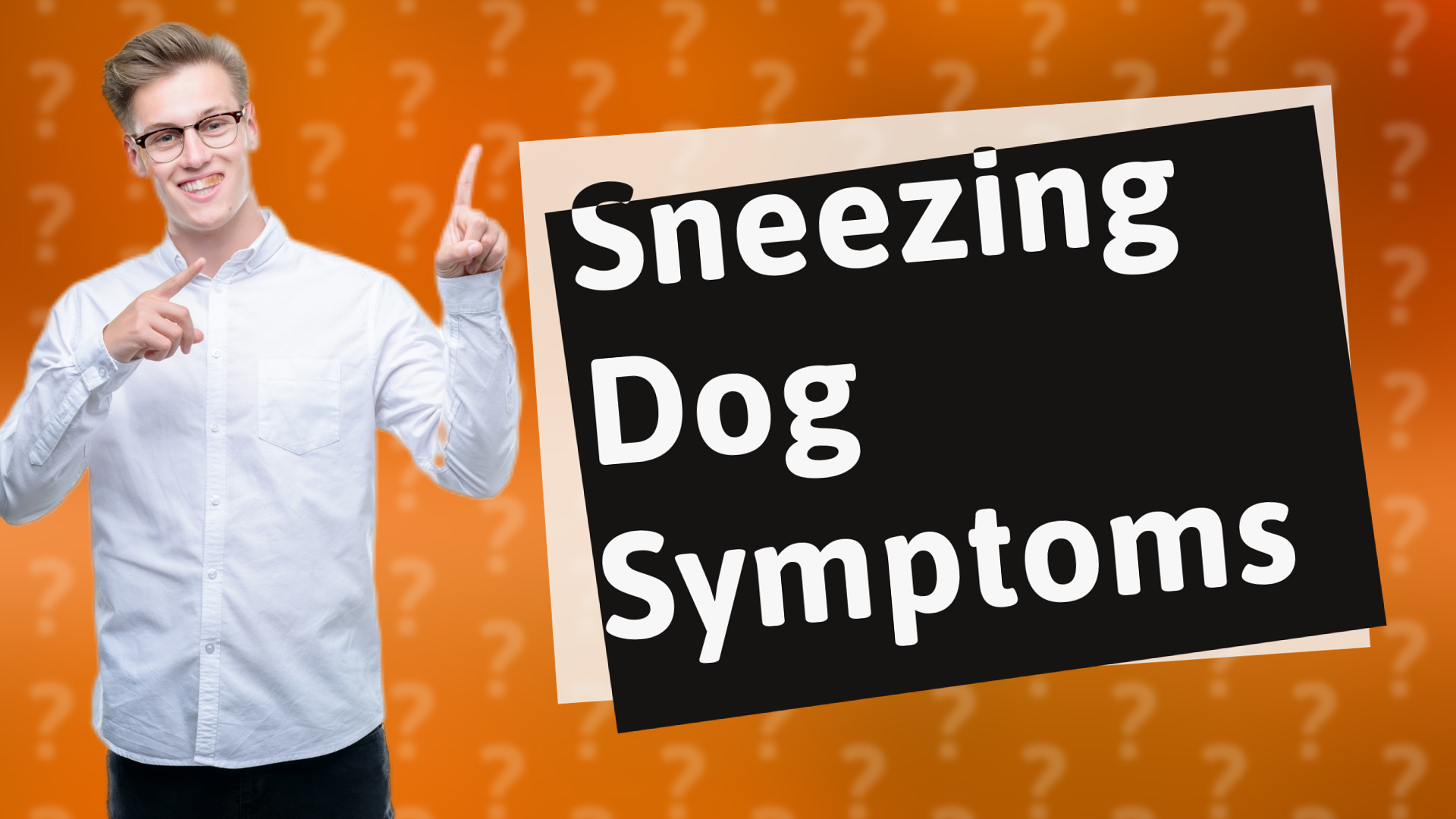 Sneezing Dog Symptoms