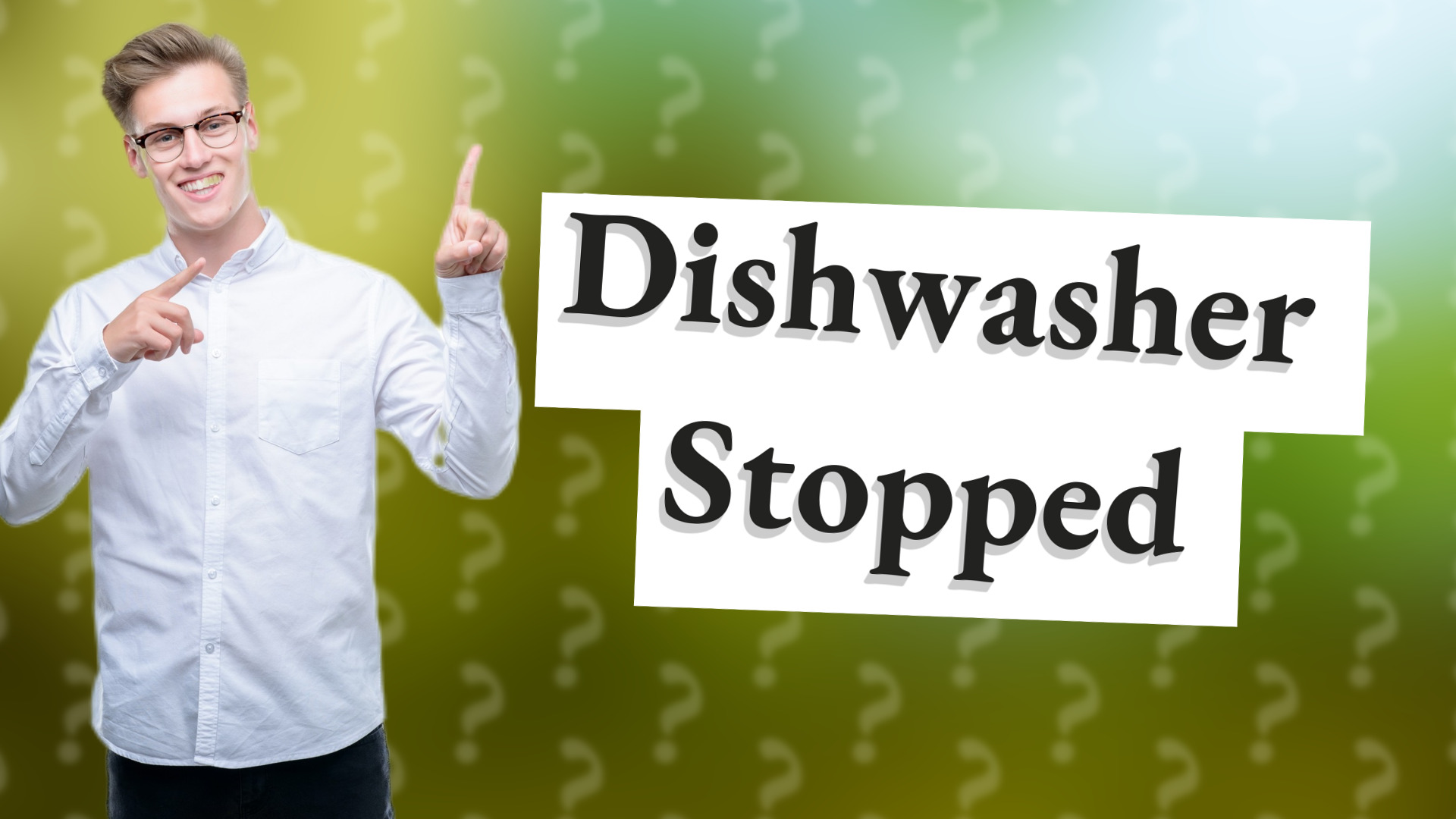 Dishwasher Stopped