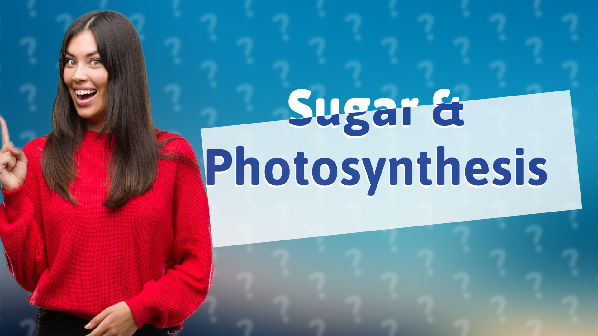 Sugar & Photosynthesis
