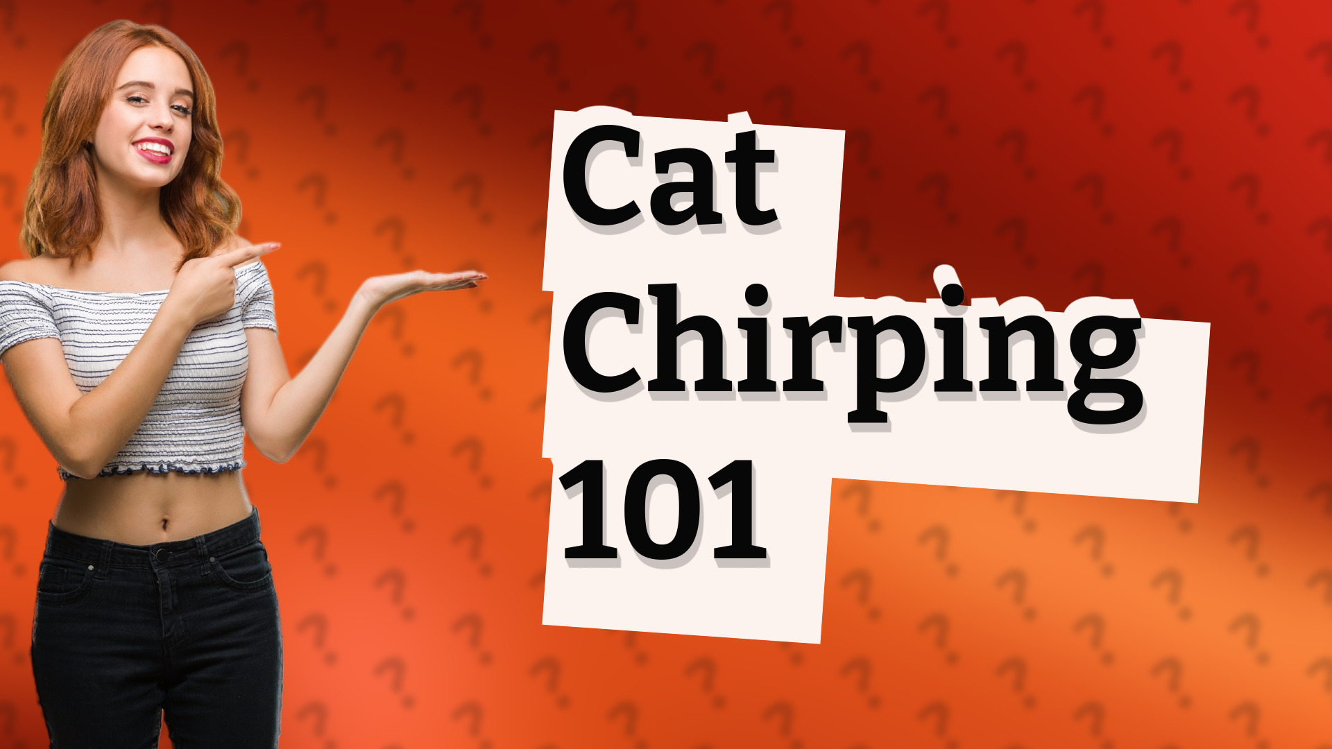 Cat Chirping 101
