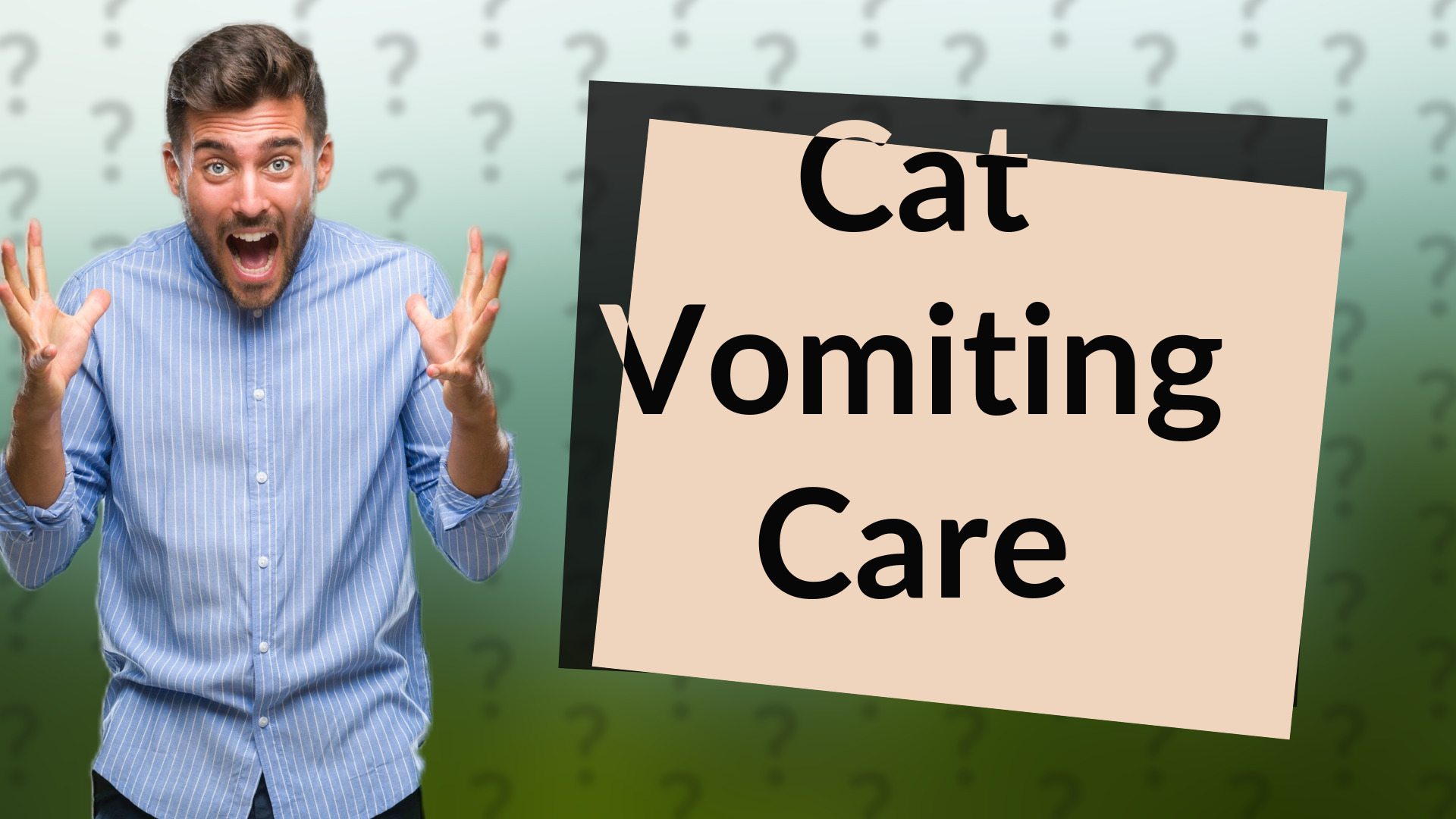 Cat Vomiting Care