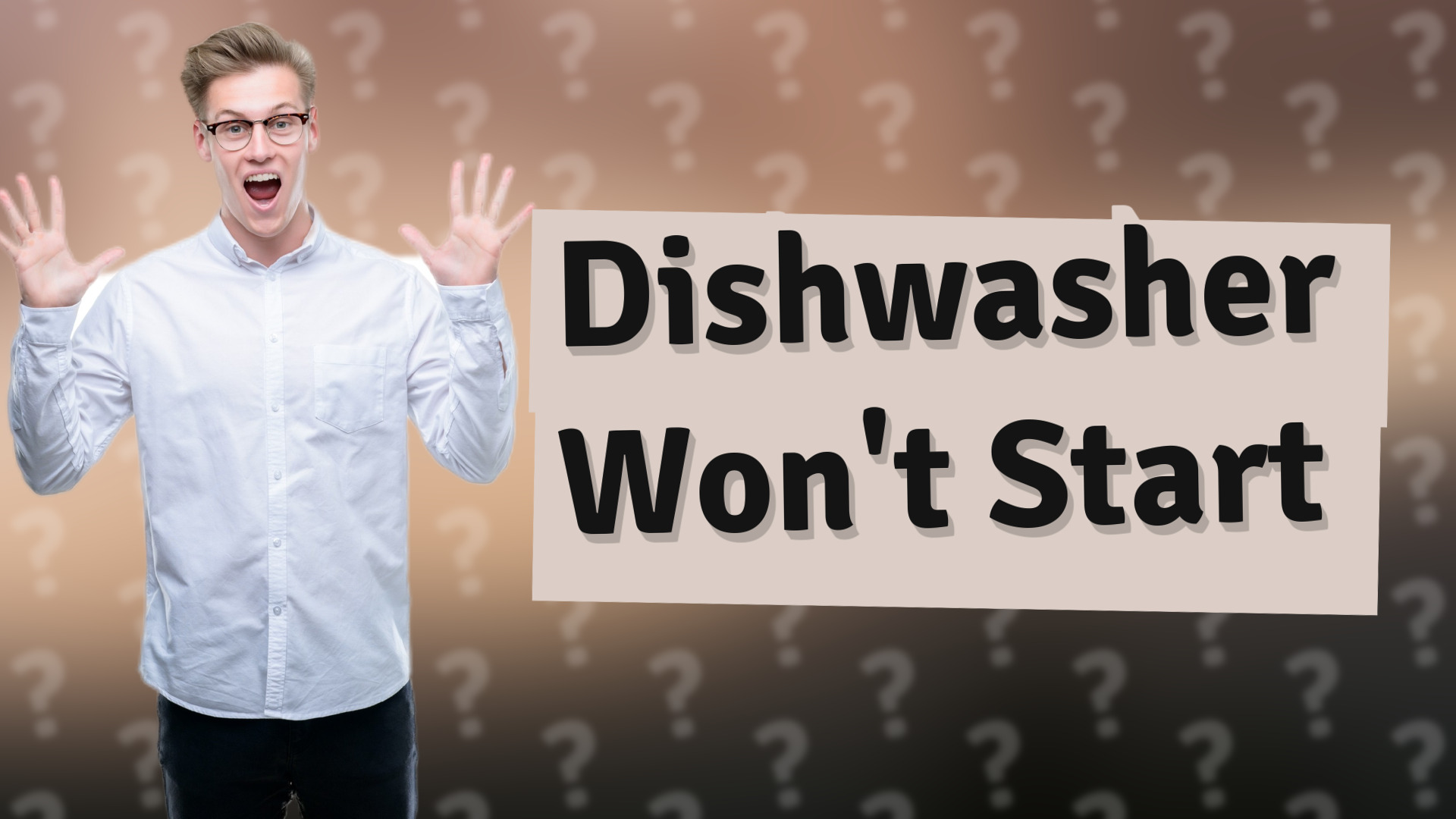 Dishwasher Won't Start