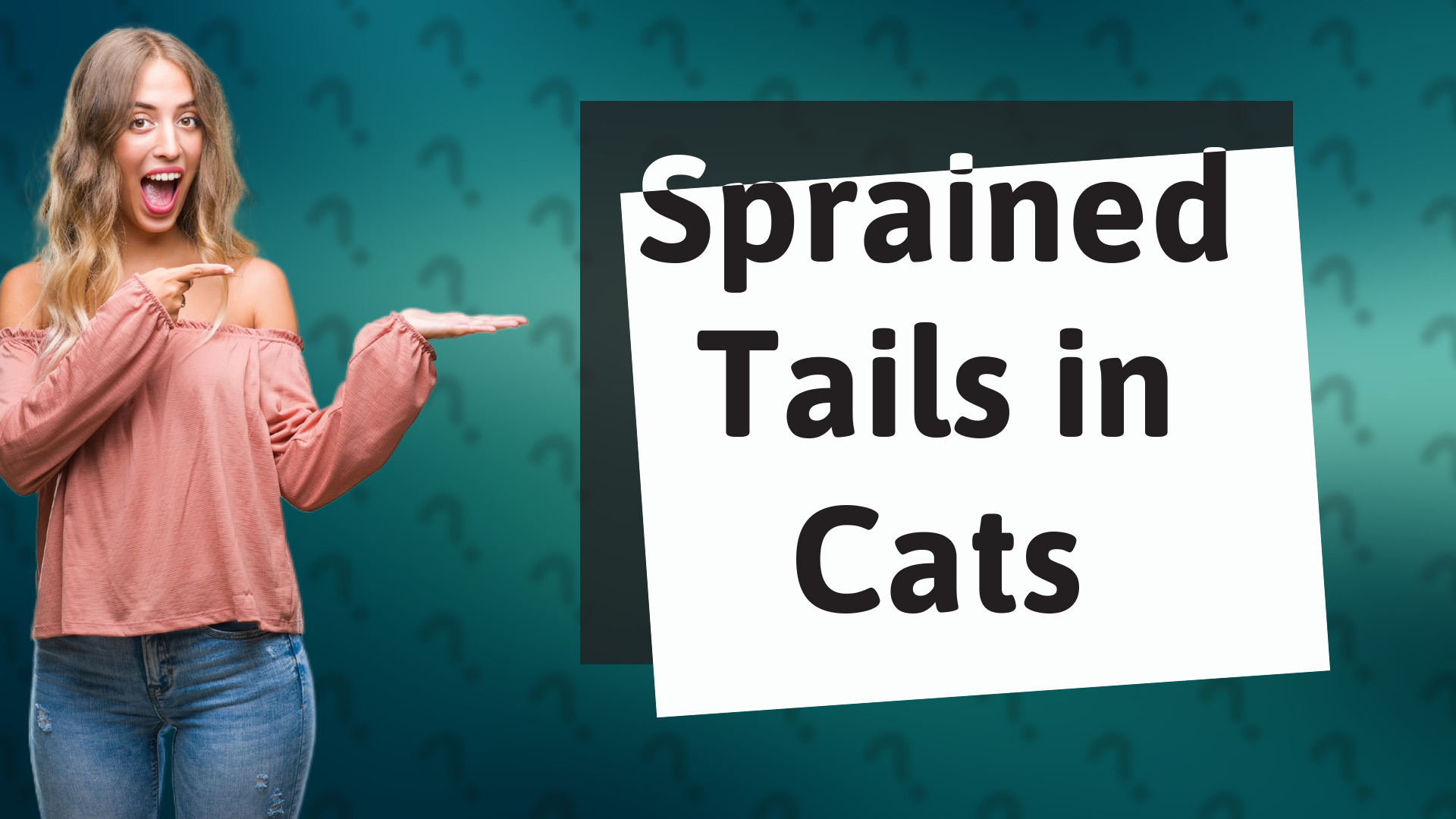 Sprained Tails in Cats