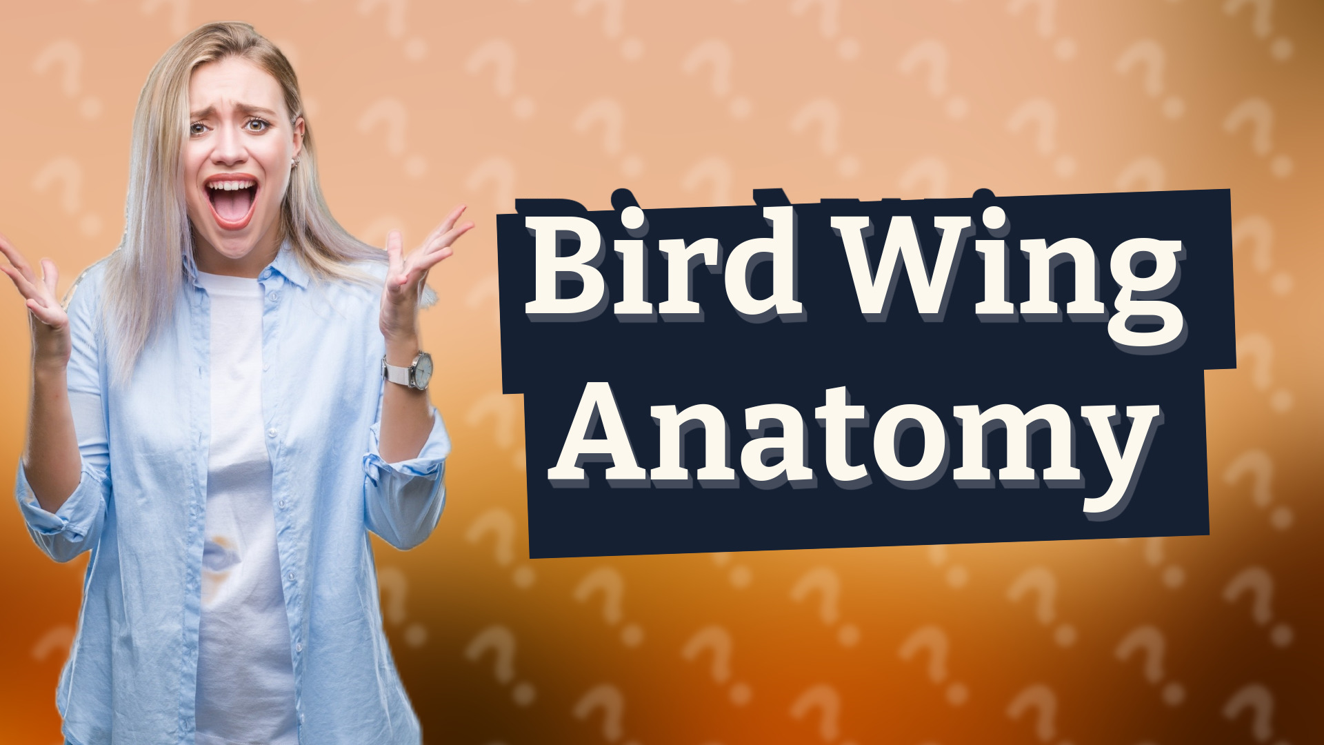 Bird Wing Anatomy