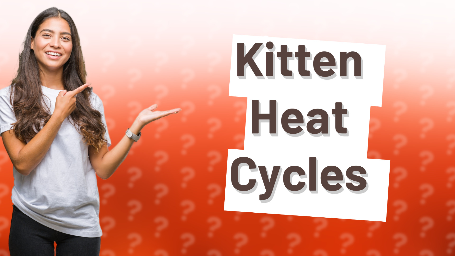 Kitten Heat Cycles