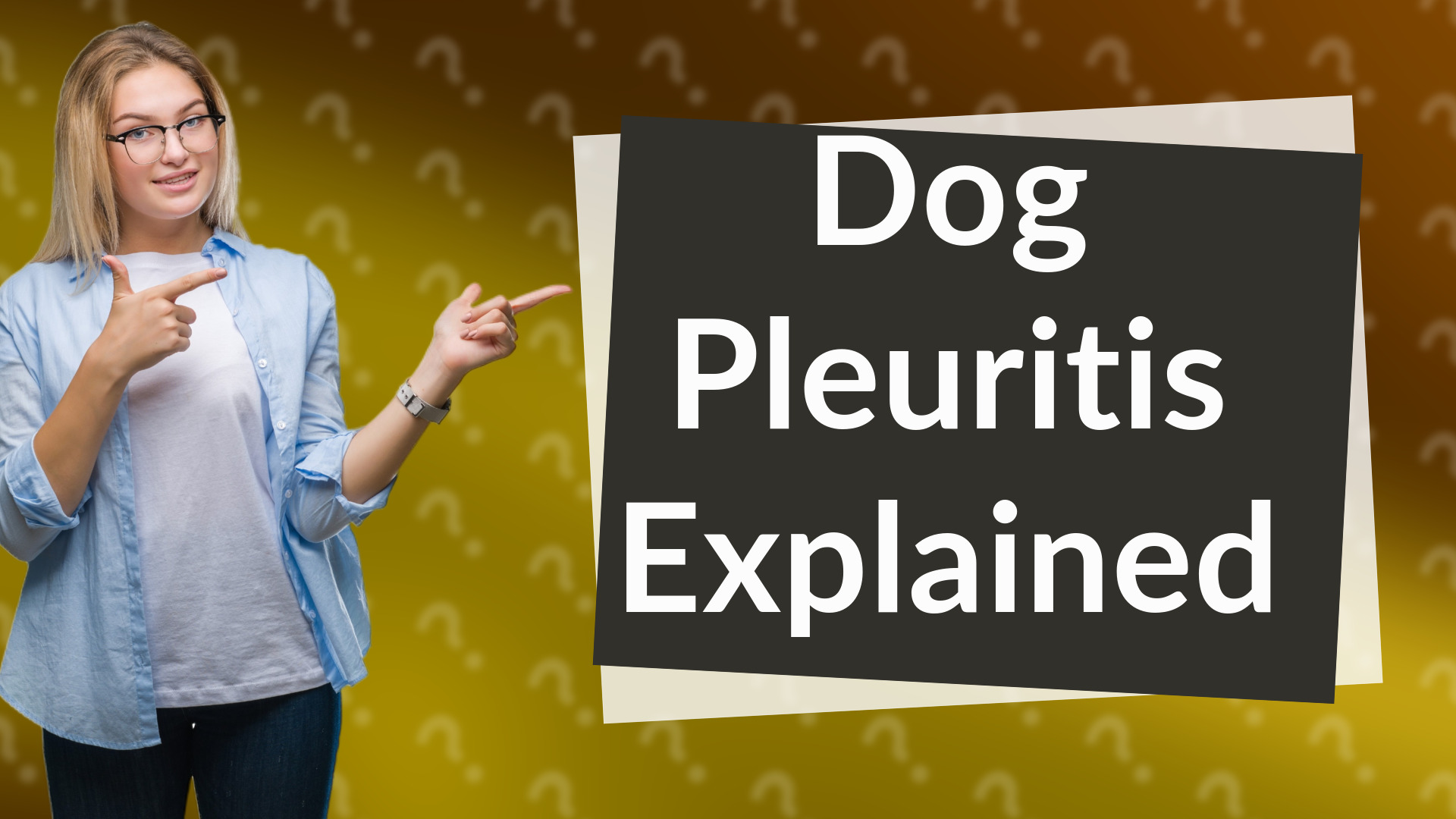 Dog Pleuritis Explained