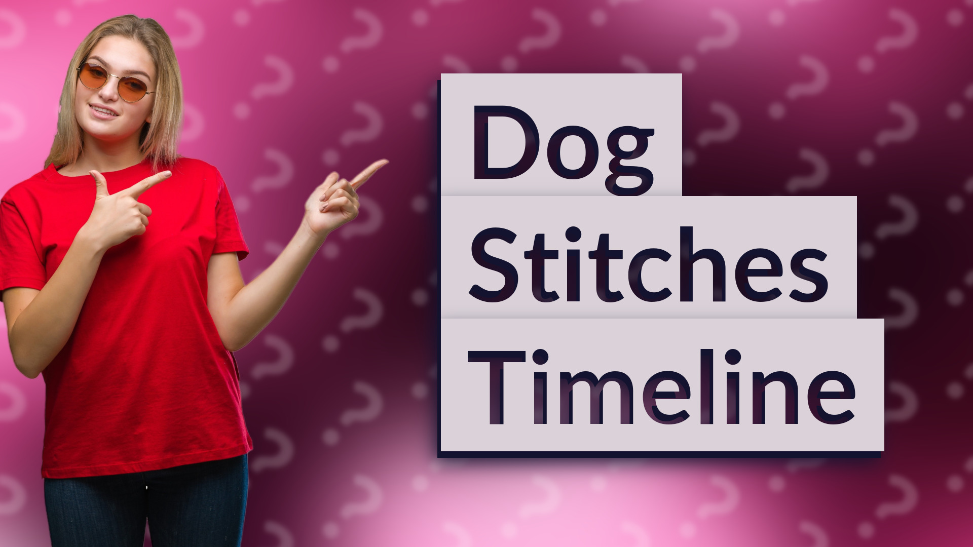 Dog Stitches Timeline