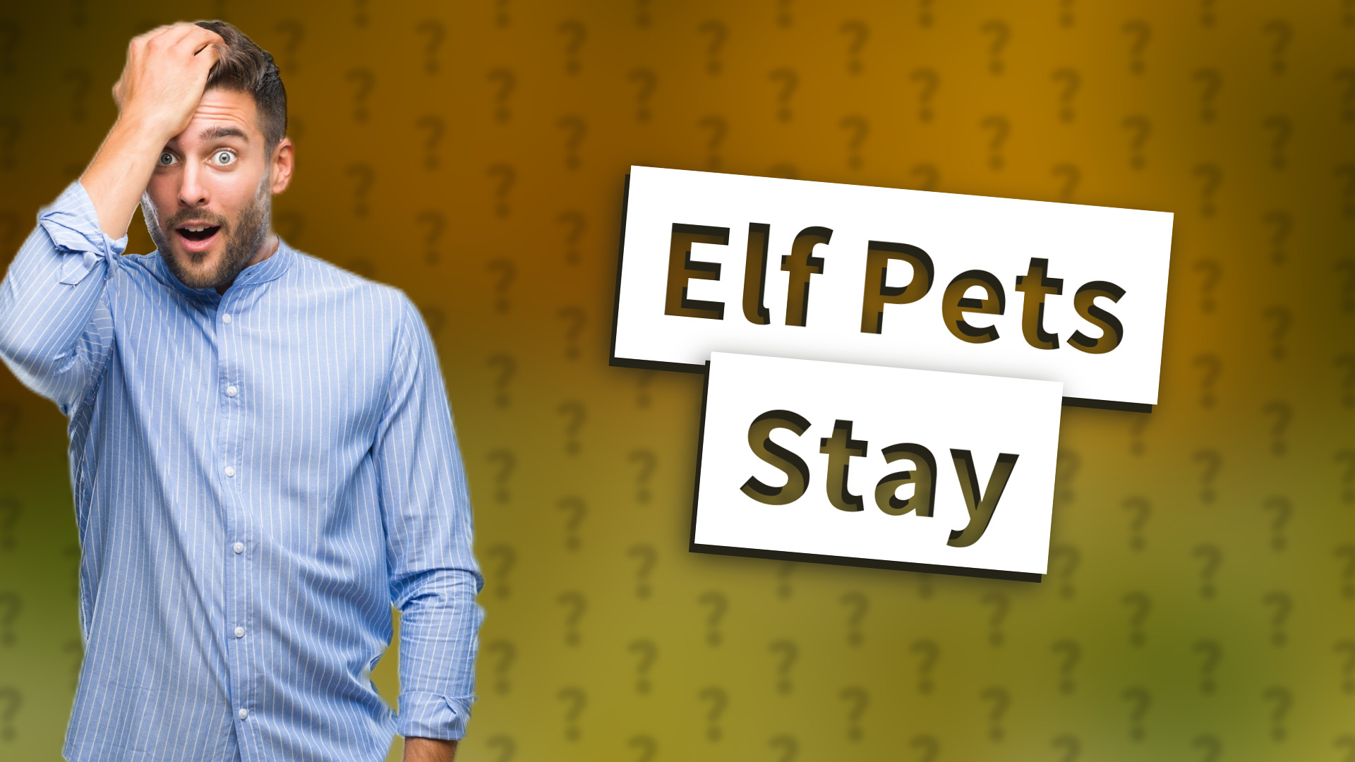 Elf Pets Stay