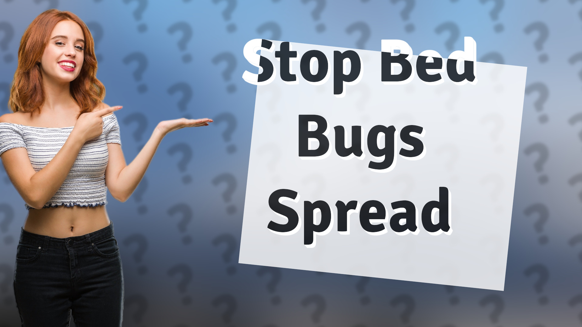 Stop Bed Bugs Spread