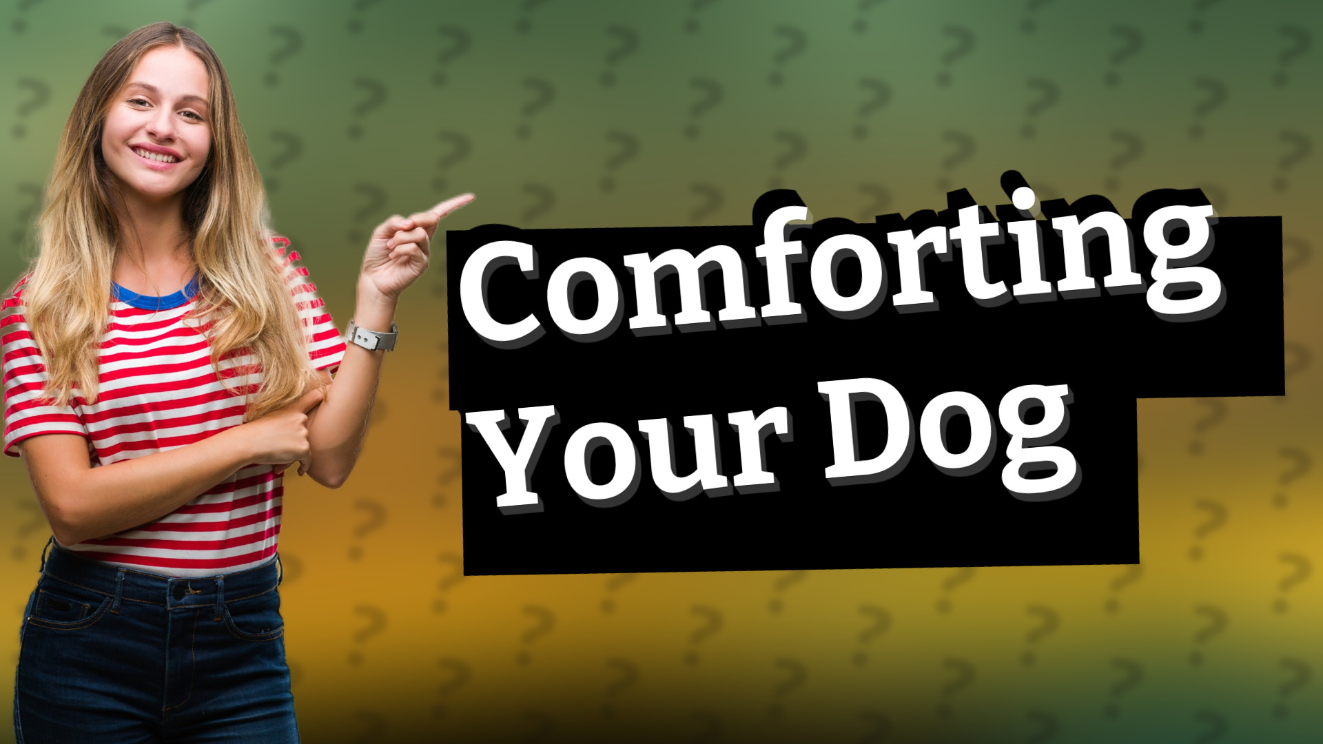 Comforting Your Dog
