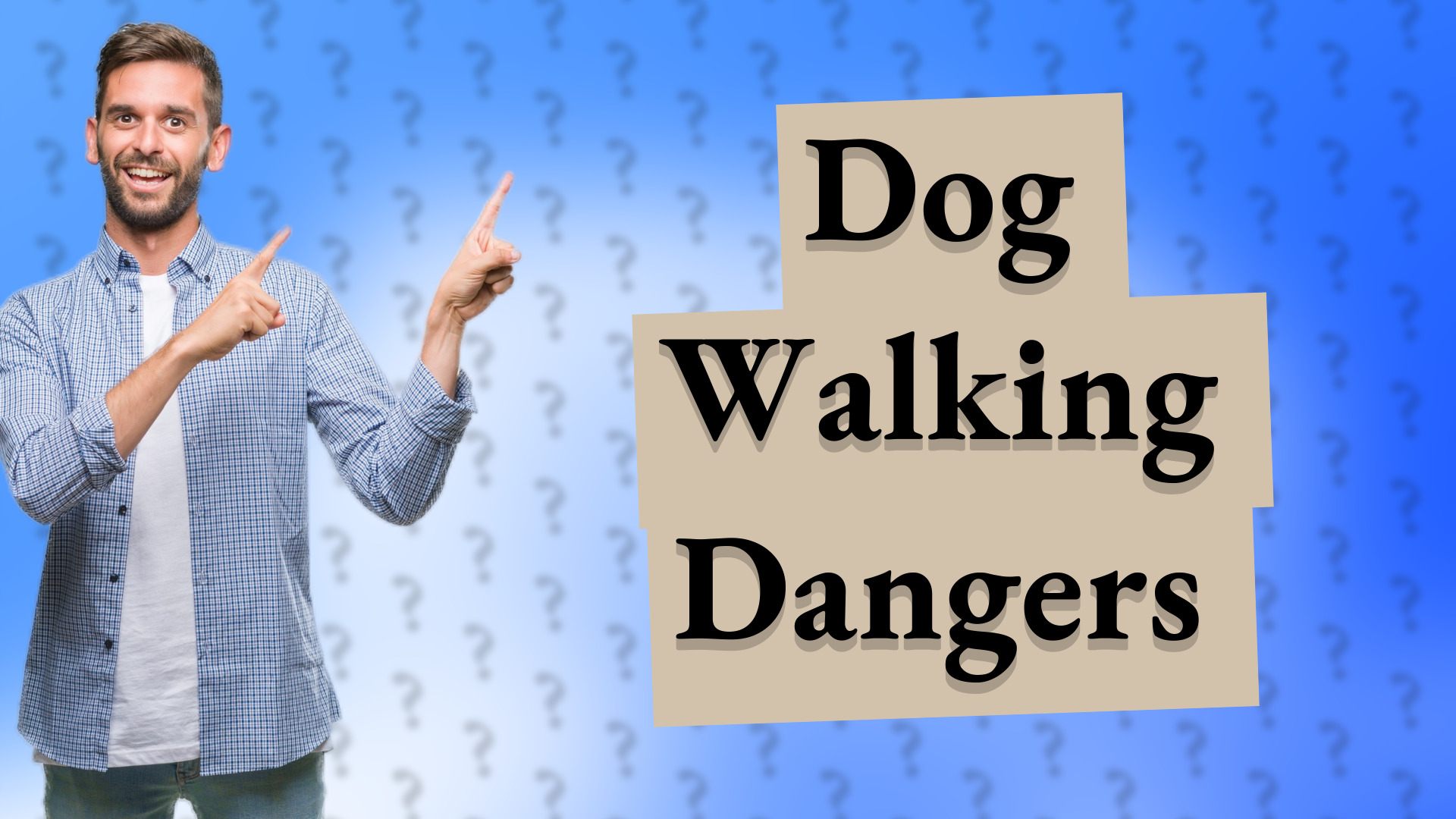 Dog Walking Dangers