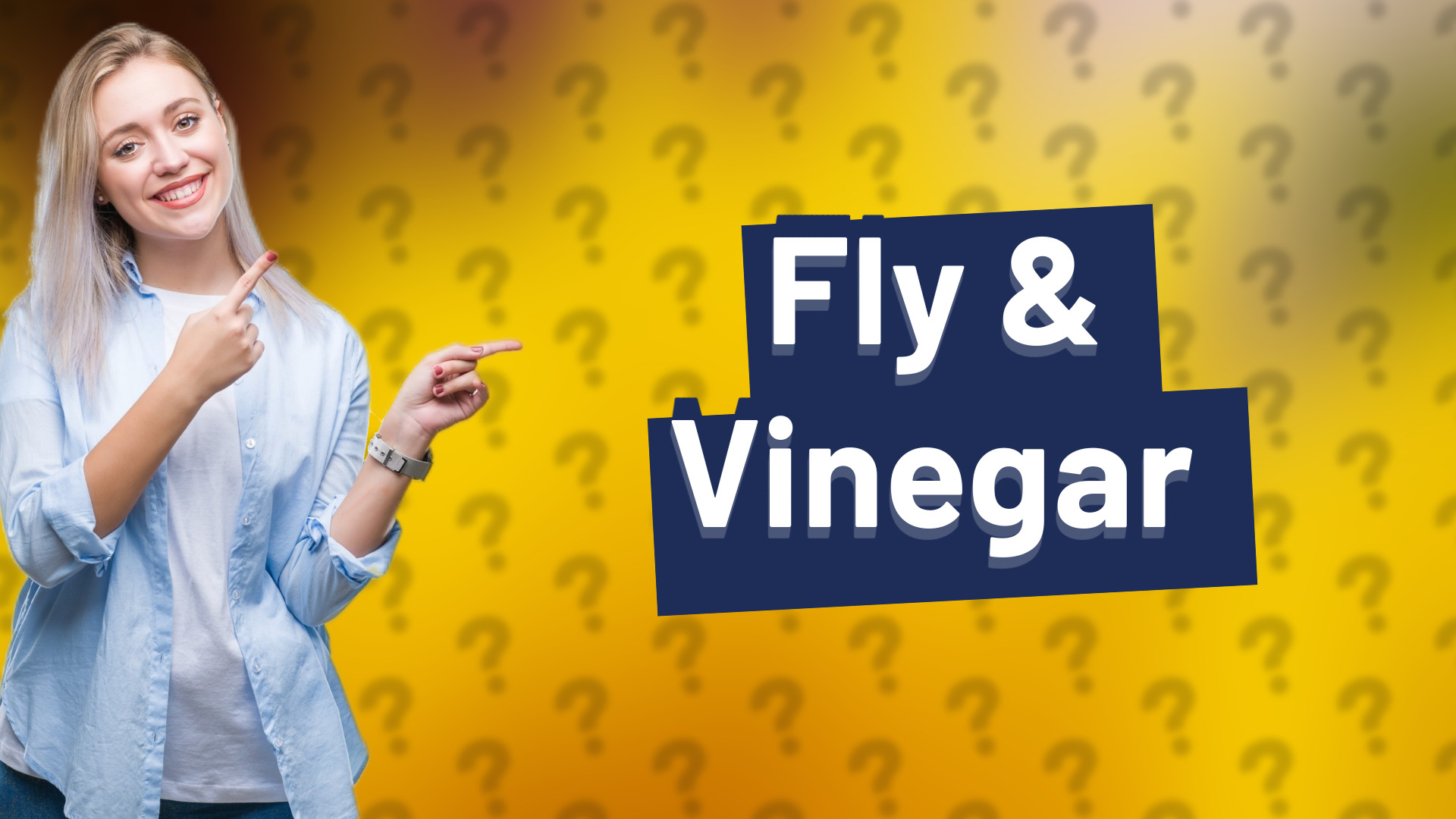 Fly & Vinegar