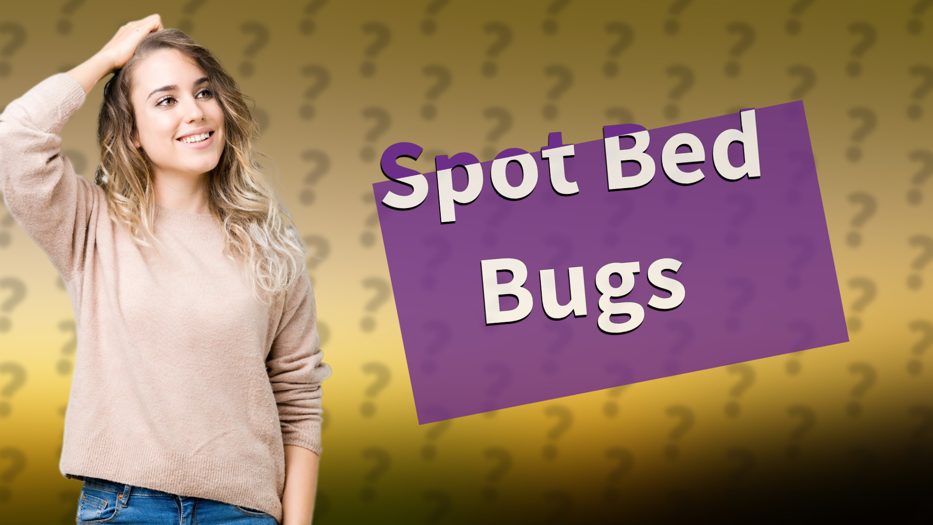 Spot Bed Bugs
