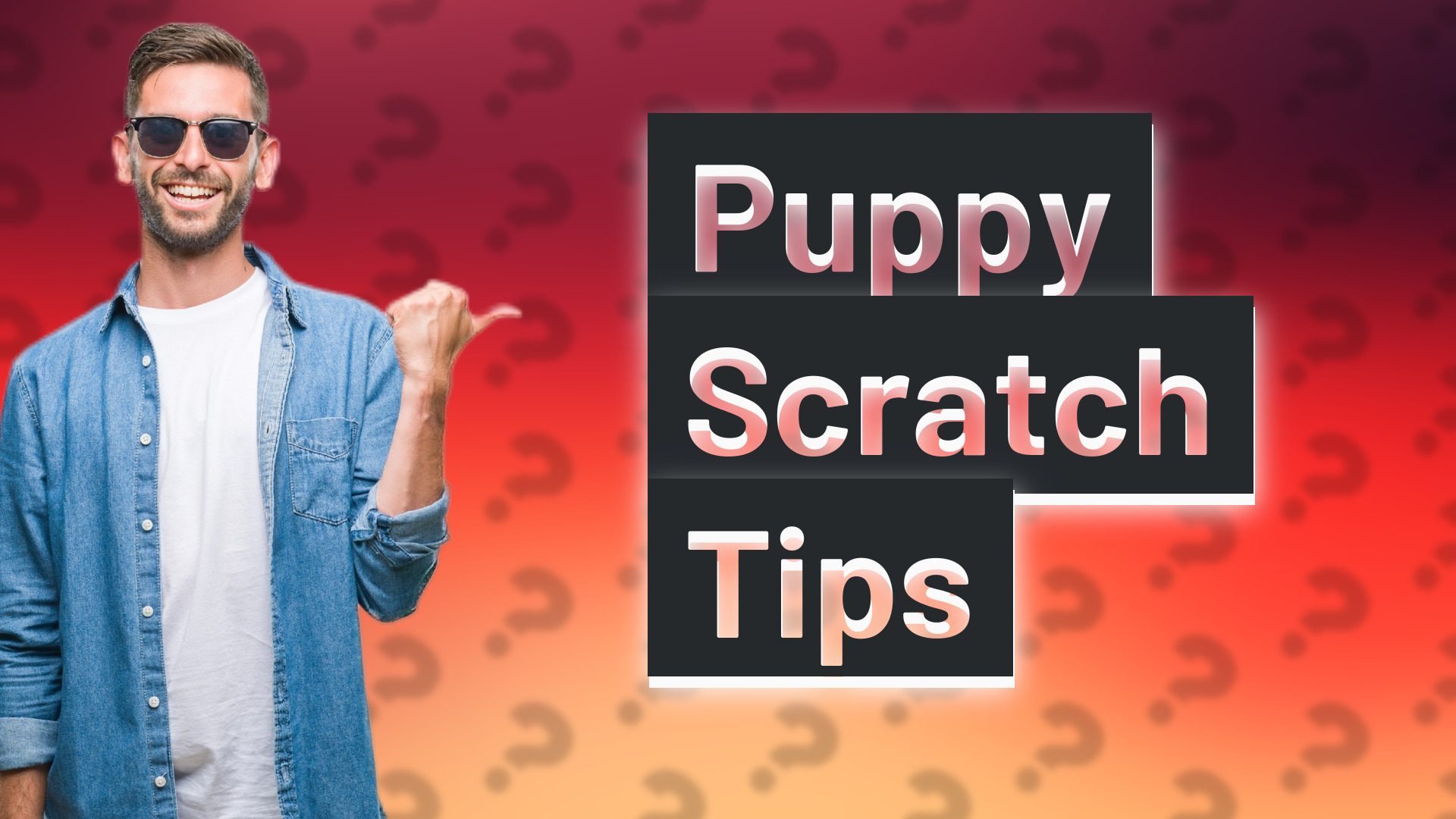 Puppy Scratch Tips