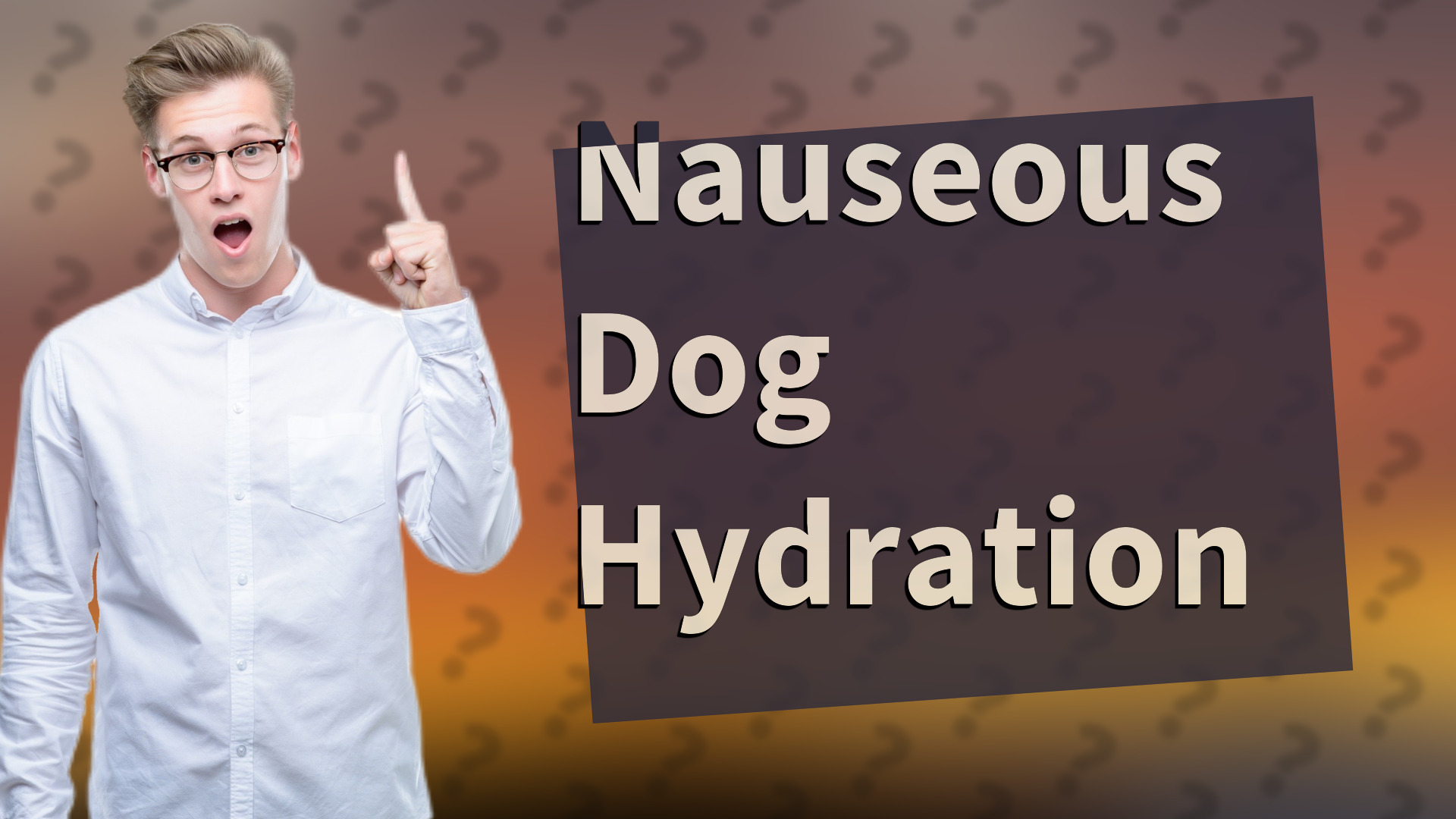 Nauseous Dog Hydration