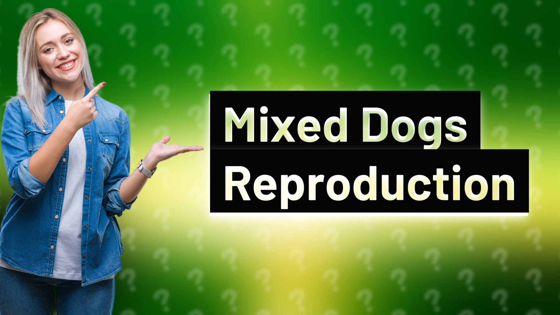 Mixed Dogs Reproduction