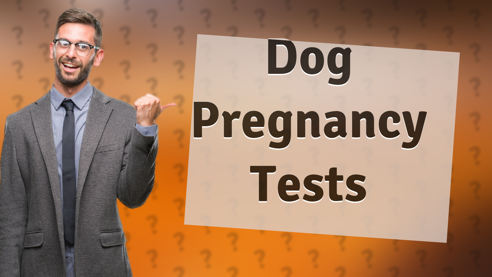 Dog Pregnancy Tests