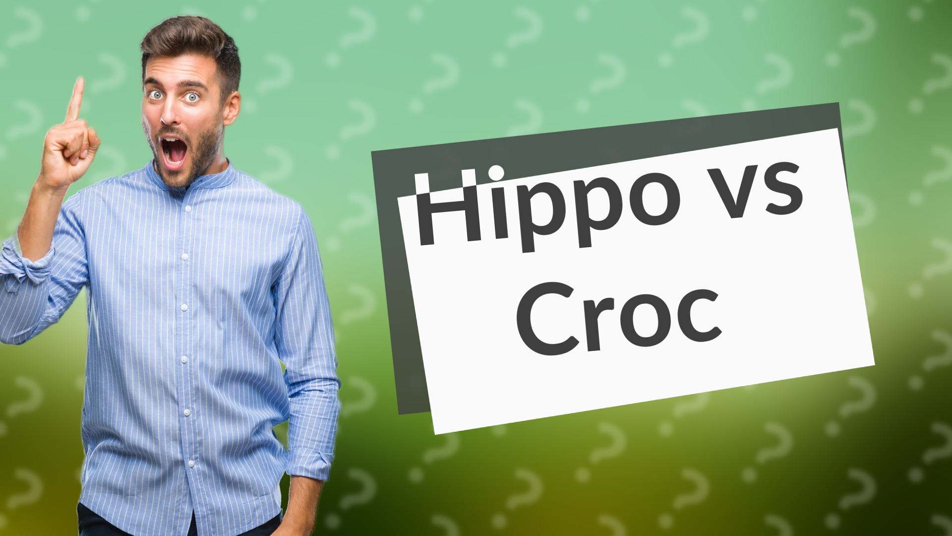 Hippo vs Croc