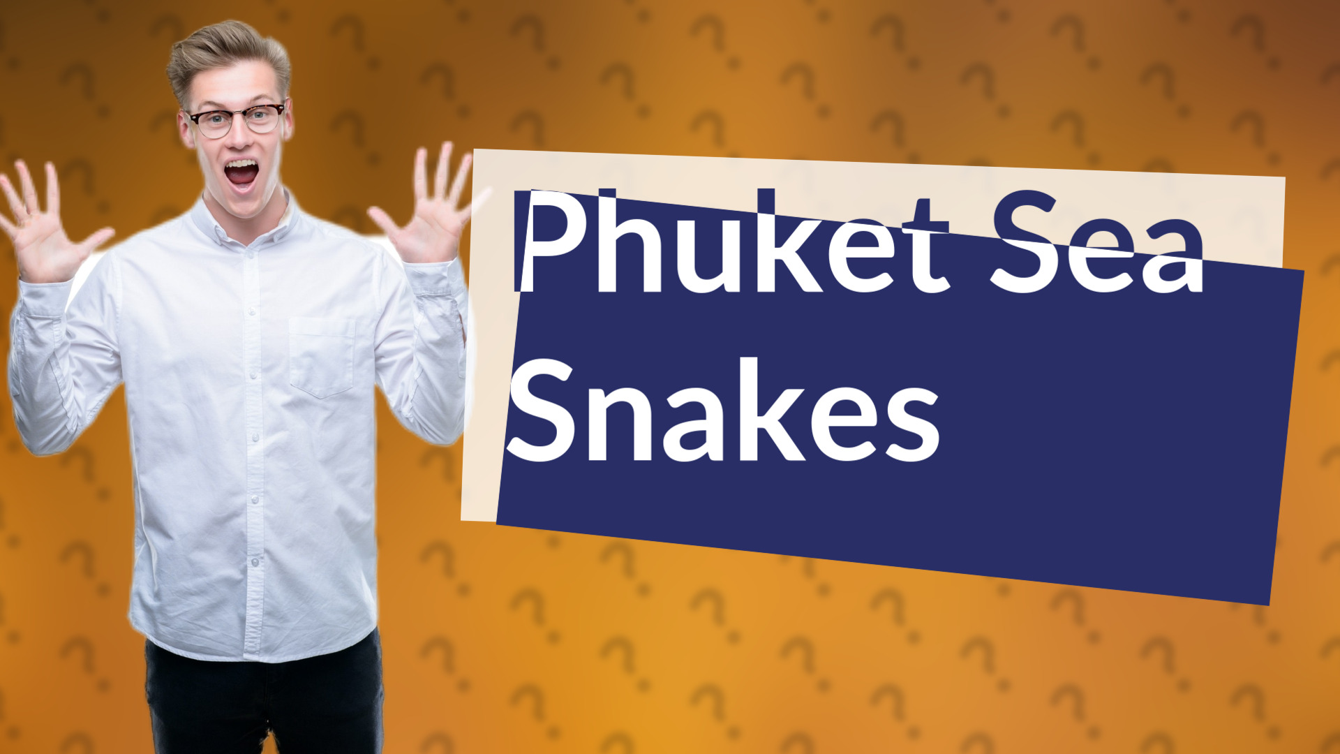 Phuket Sea Snakes