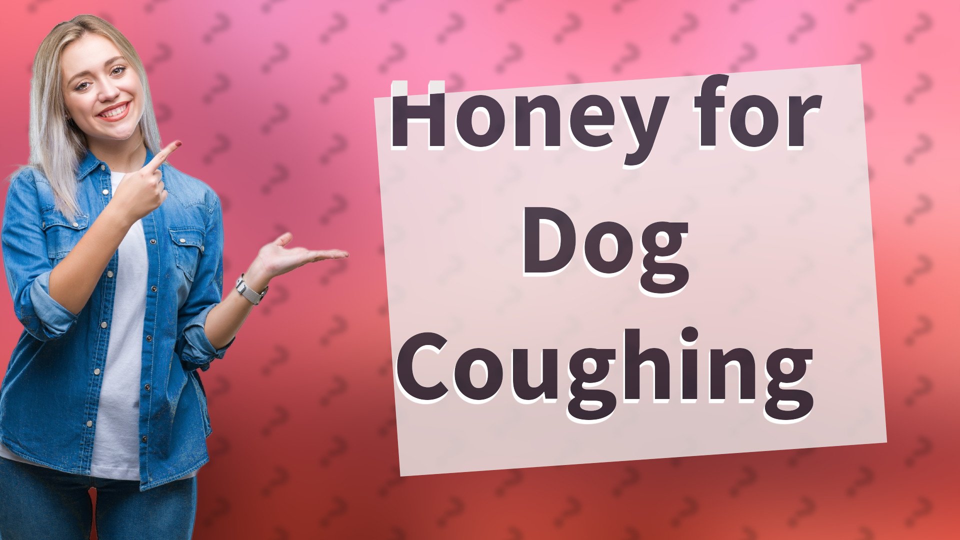 Honey for Dog Coughing