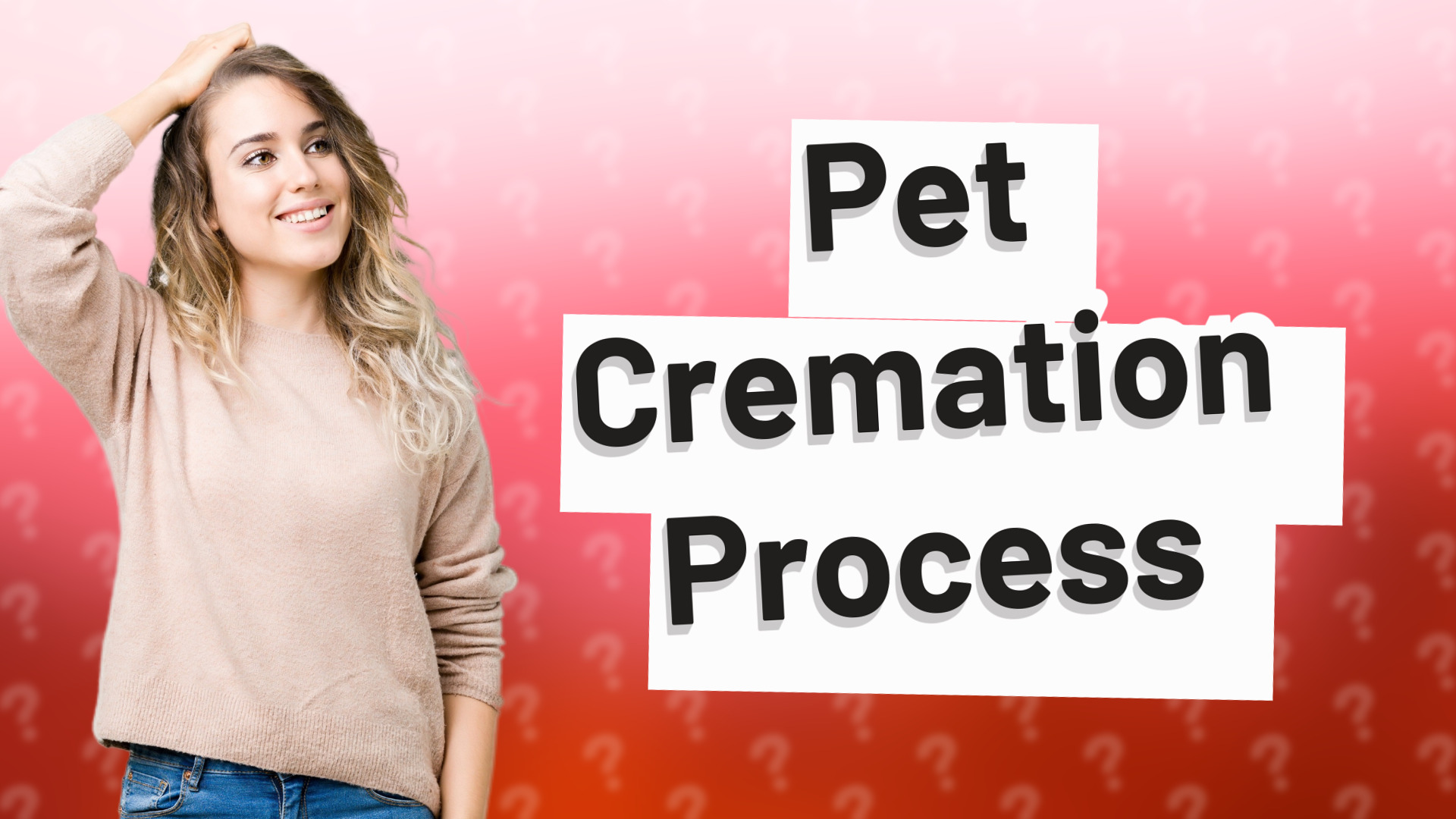 Pet Cremation Process