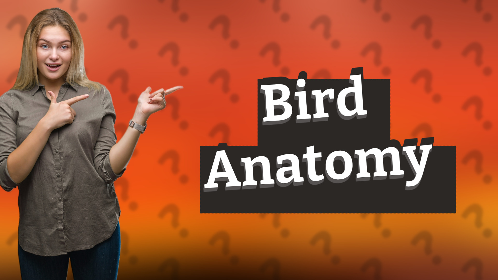 Bird Anatomy