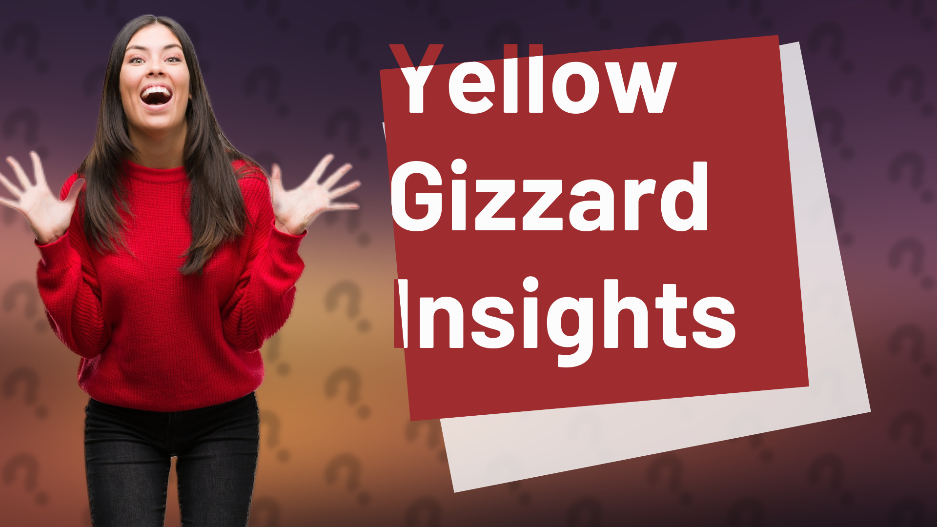Yellow Gizzard Insights