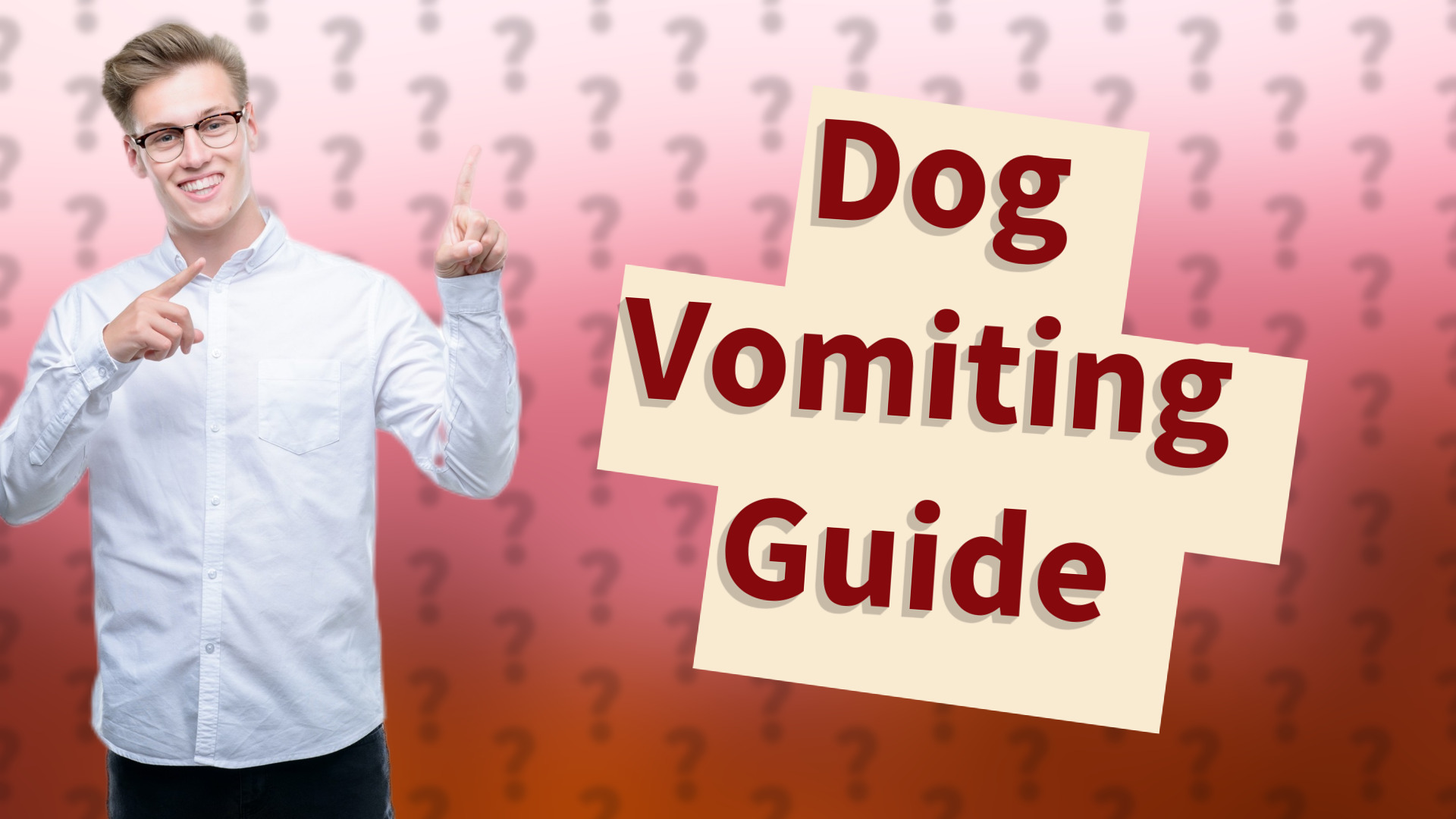 Dog Vomiting Guide