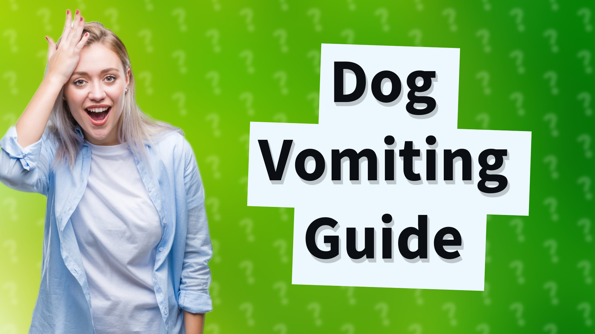 Dog Vomiting Guide