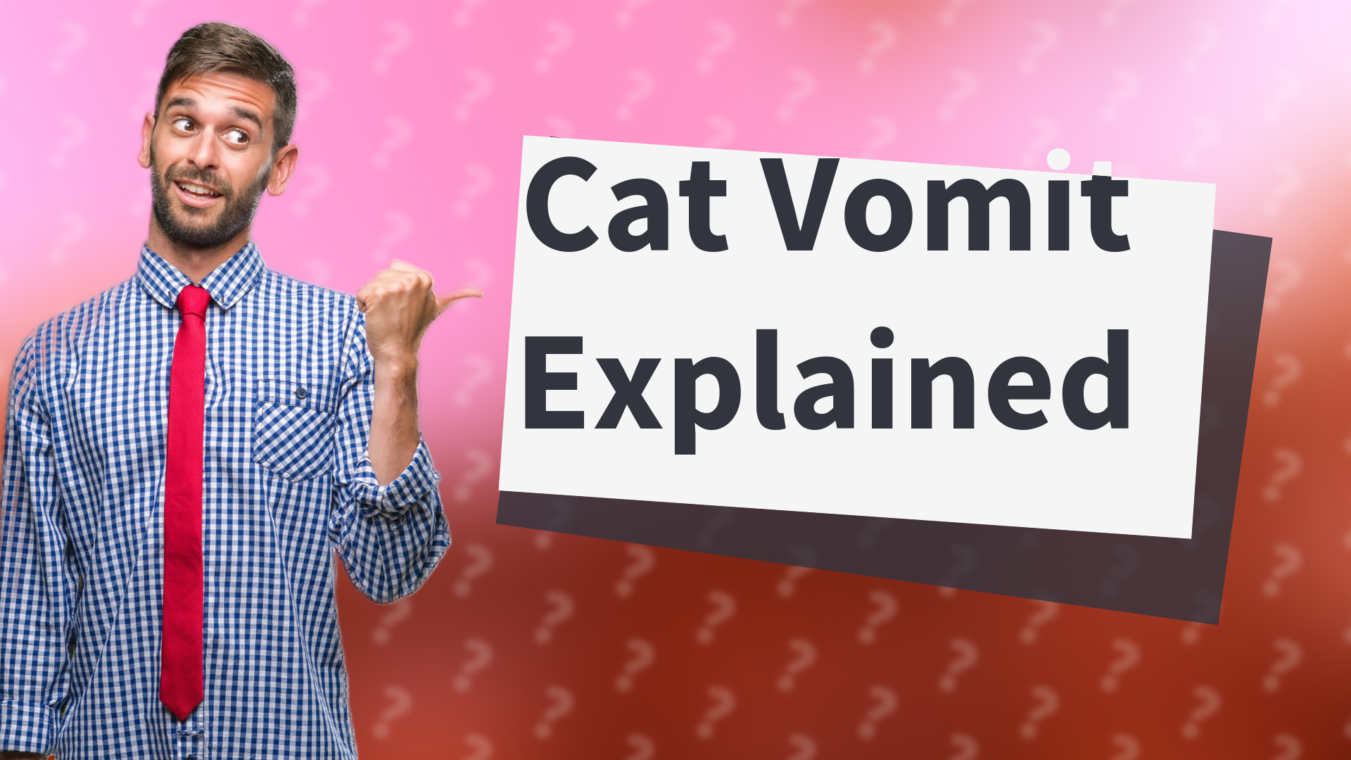Cat Vomit Explained