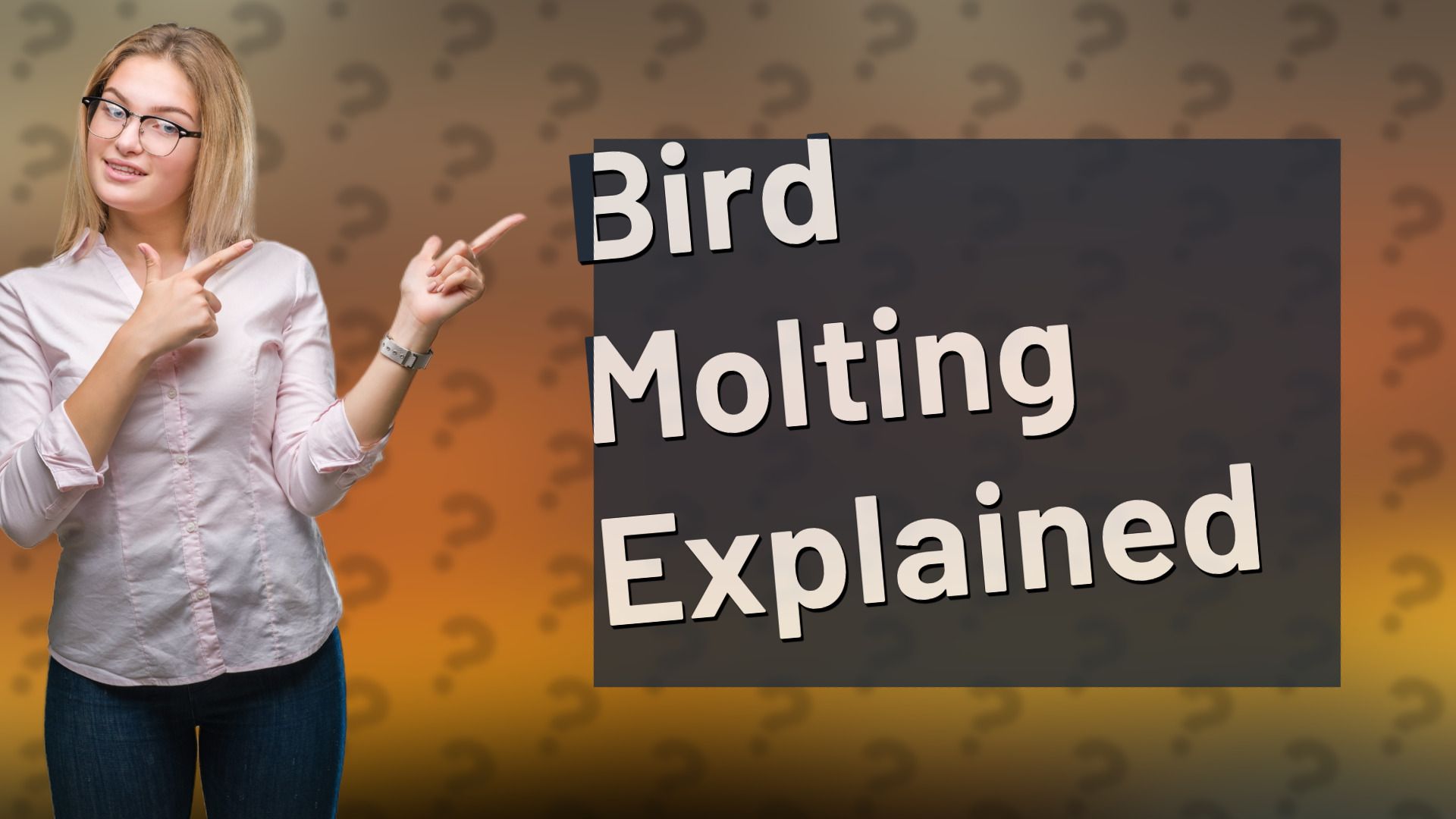 Bird Molting Explained