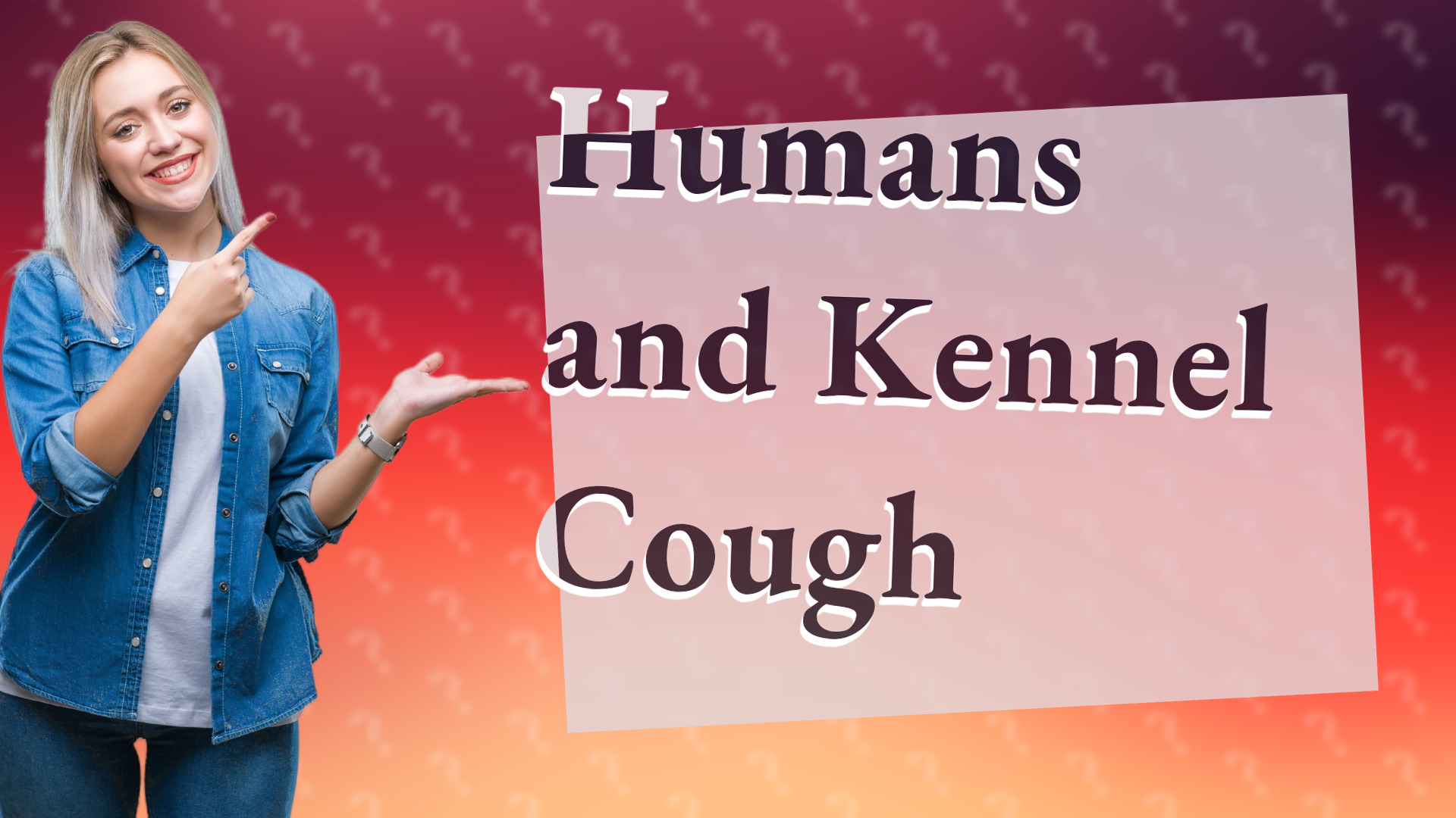 Humans and Kennel Cough
