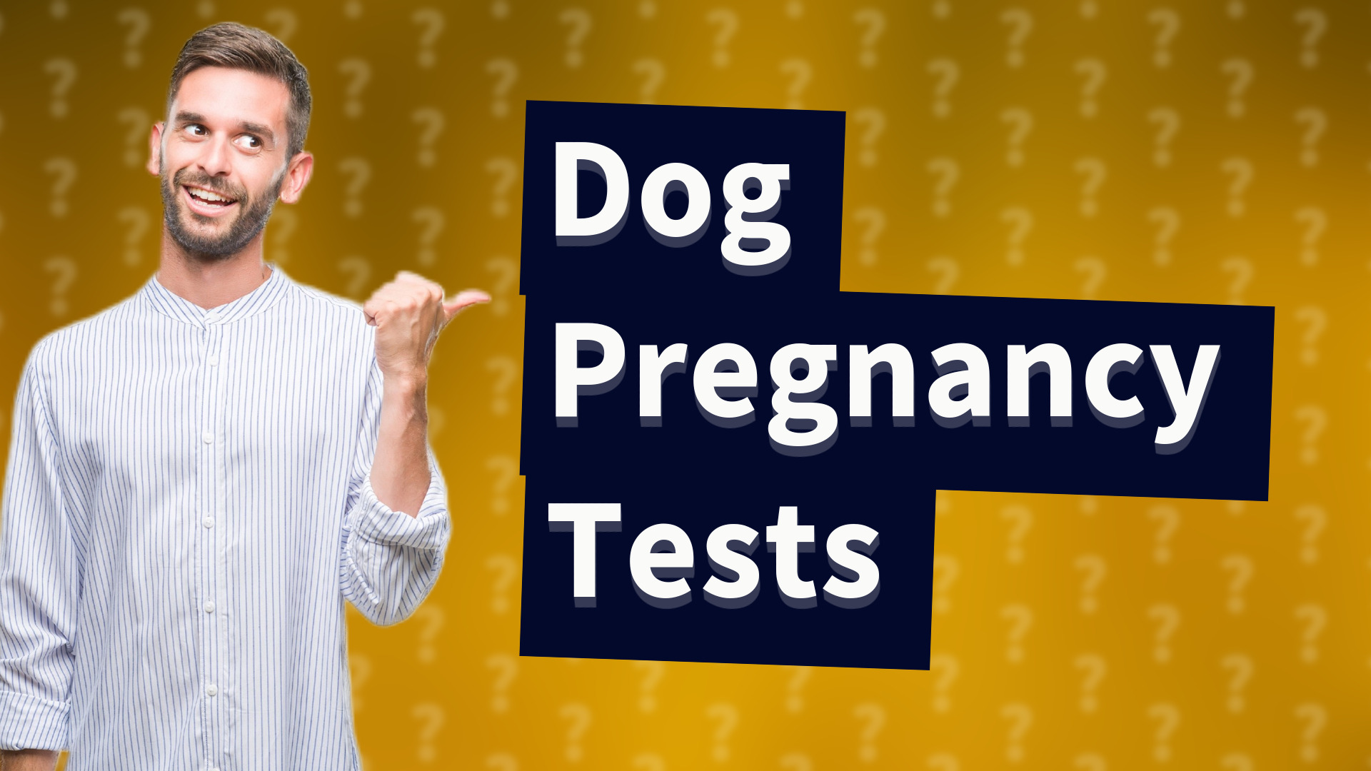 Dog Pregnancy Tests