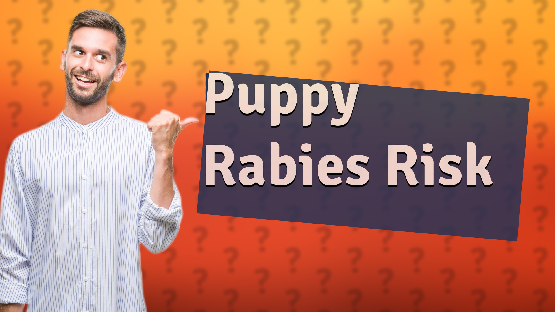 Puppy Rabies Risk