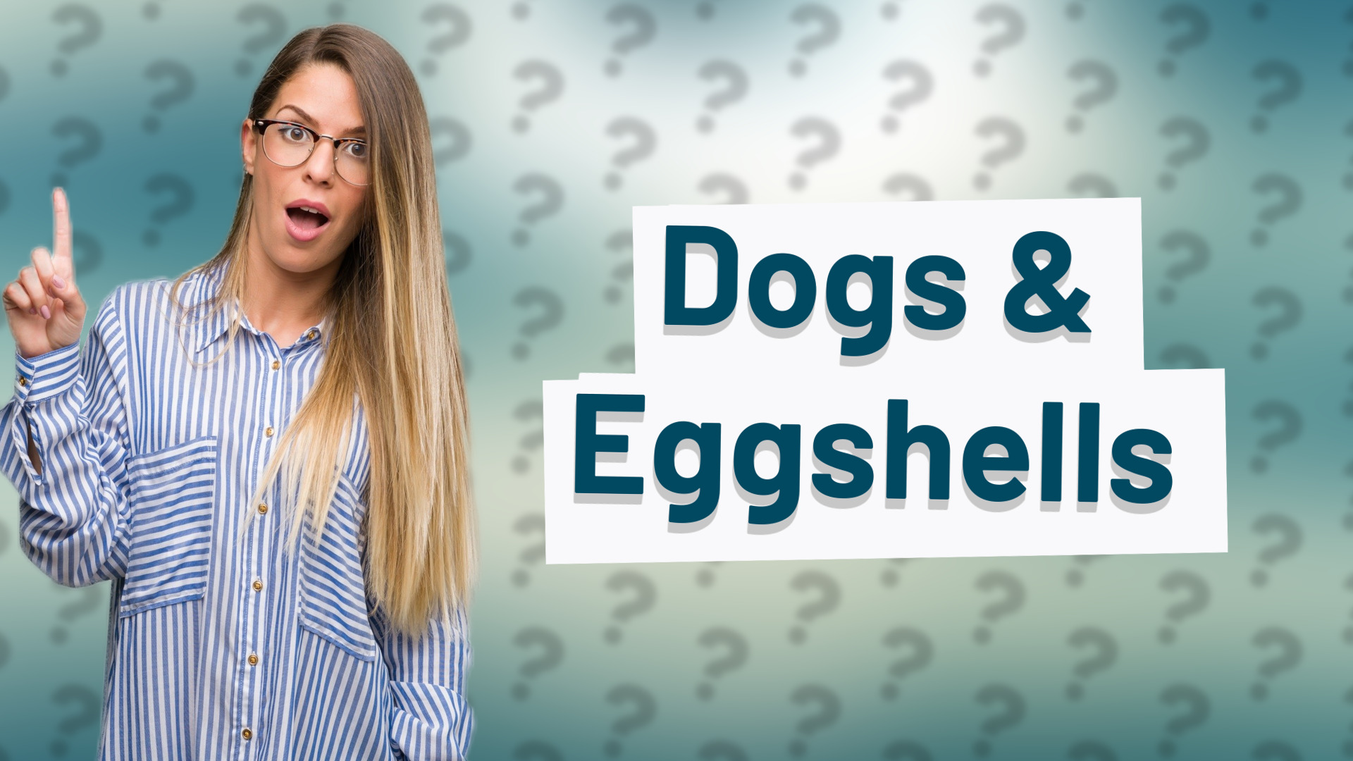 Dogs & Eggshells