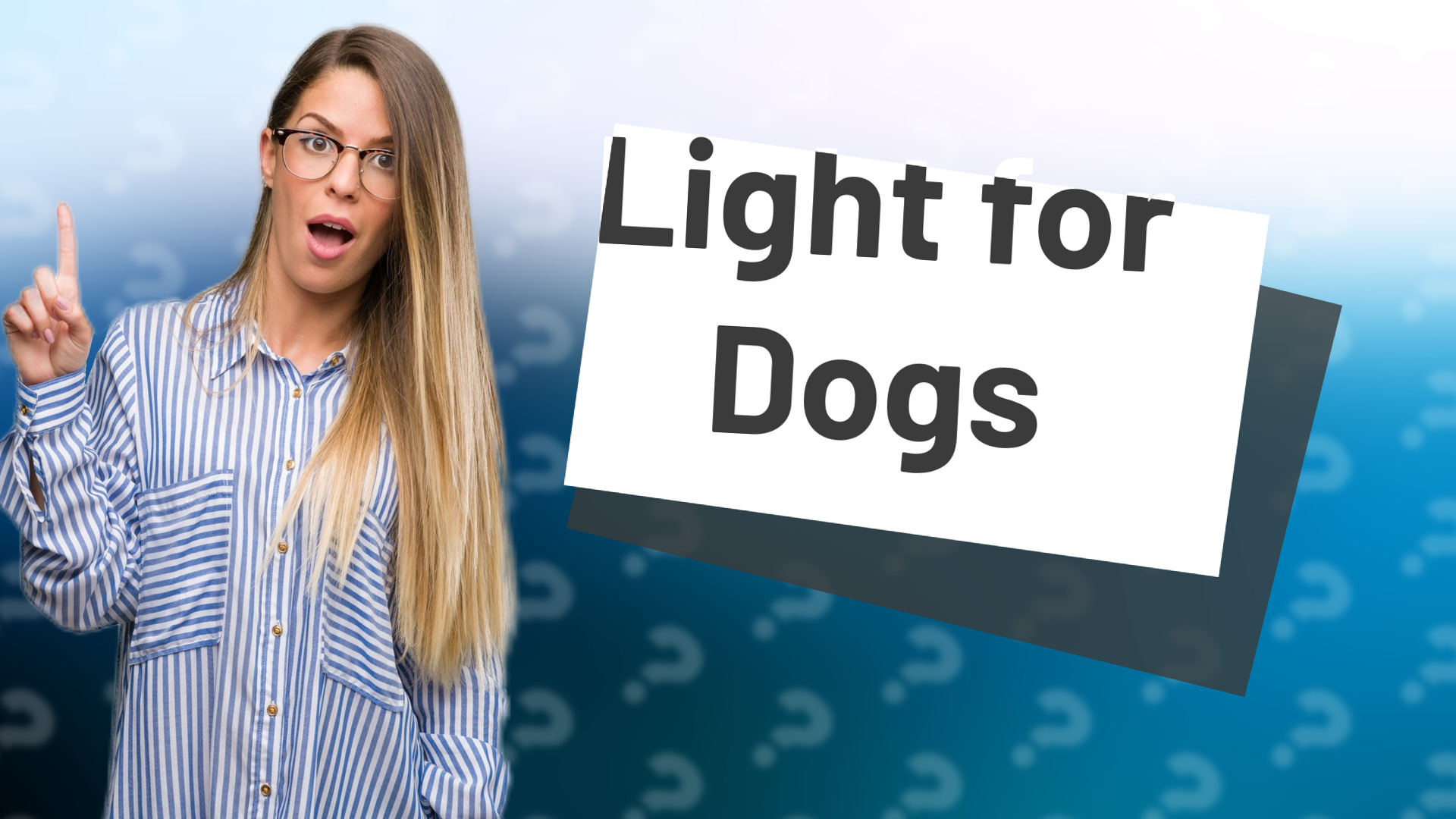 Light for Dogs