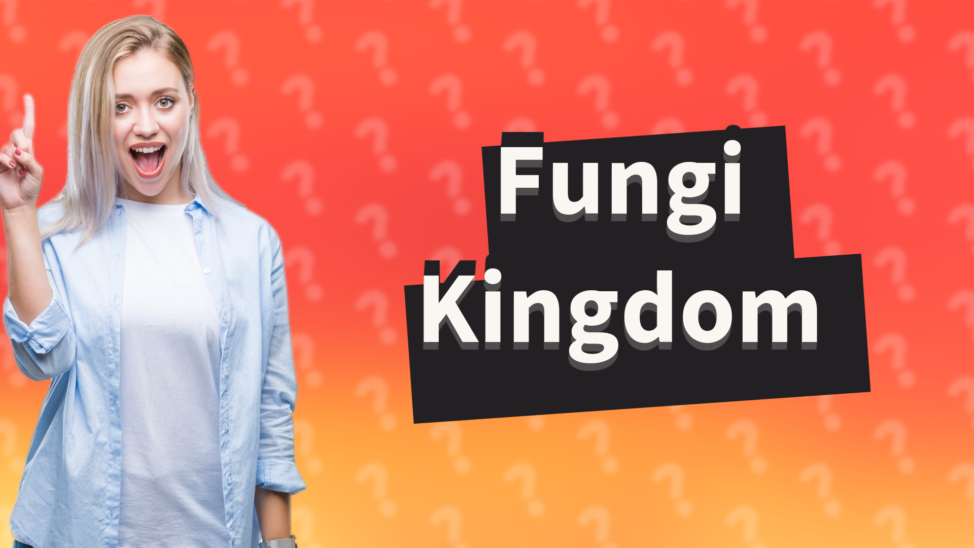 Fungi Kingdom