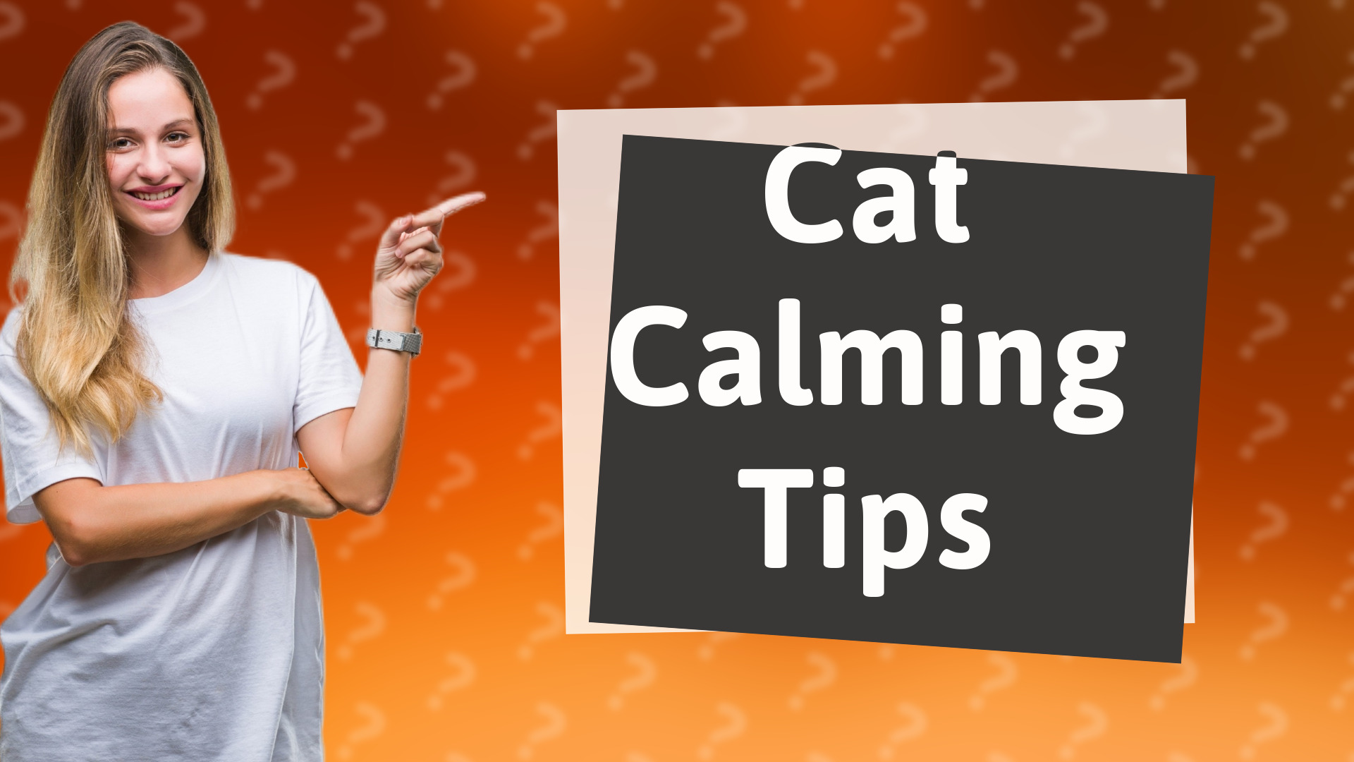 Cat Calming Tips