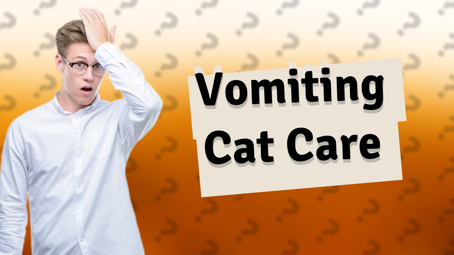 Vomiting Cat Care