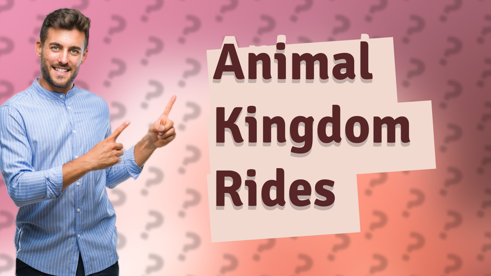 Animal Kingdom Rides