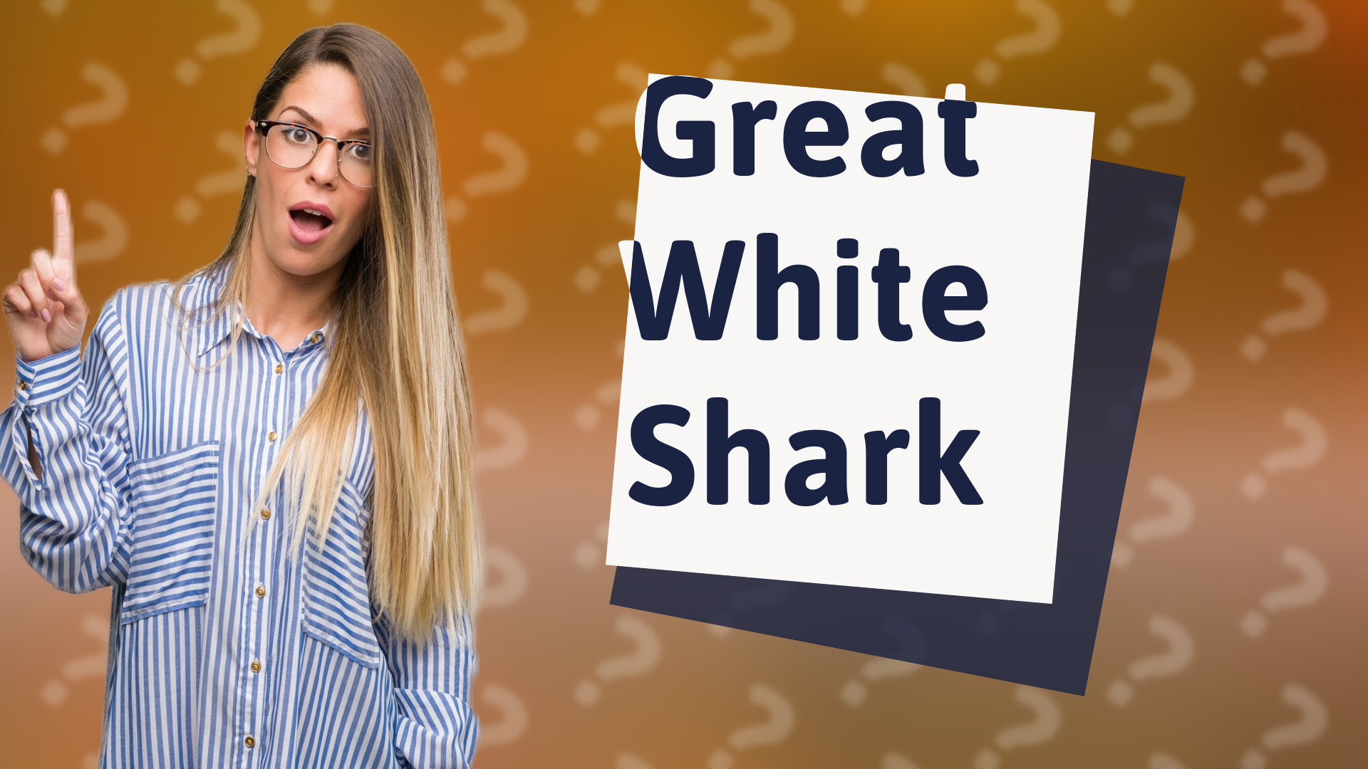 Great White Shark