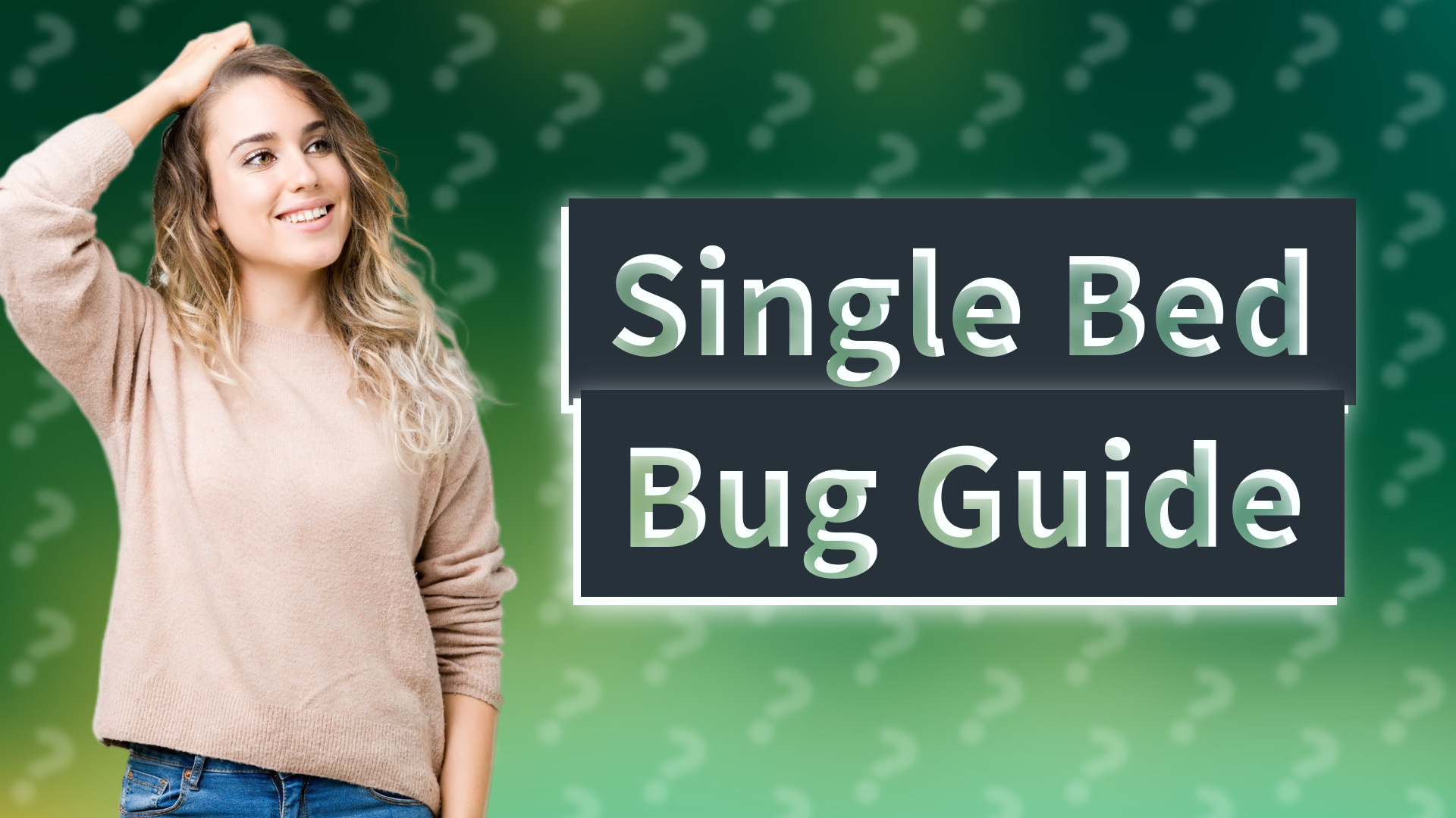 Single Bed Bug Guide