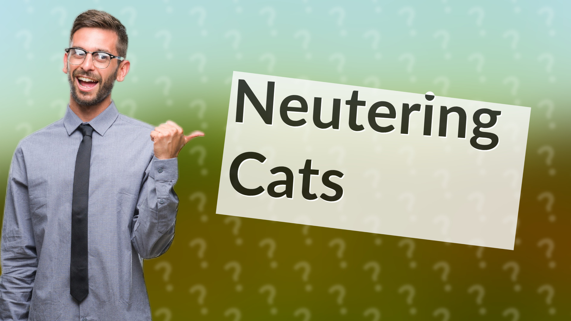 Neutering Cats