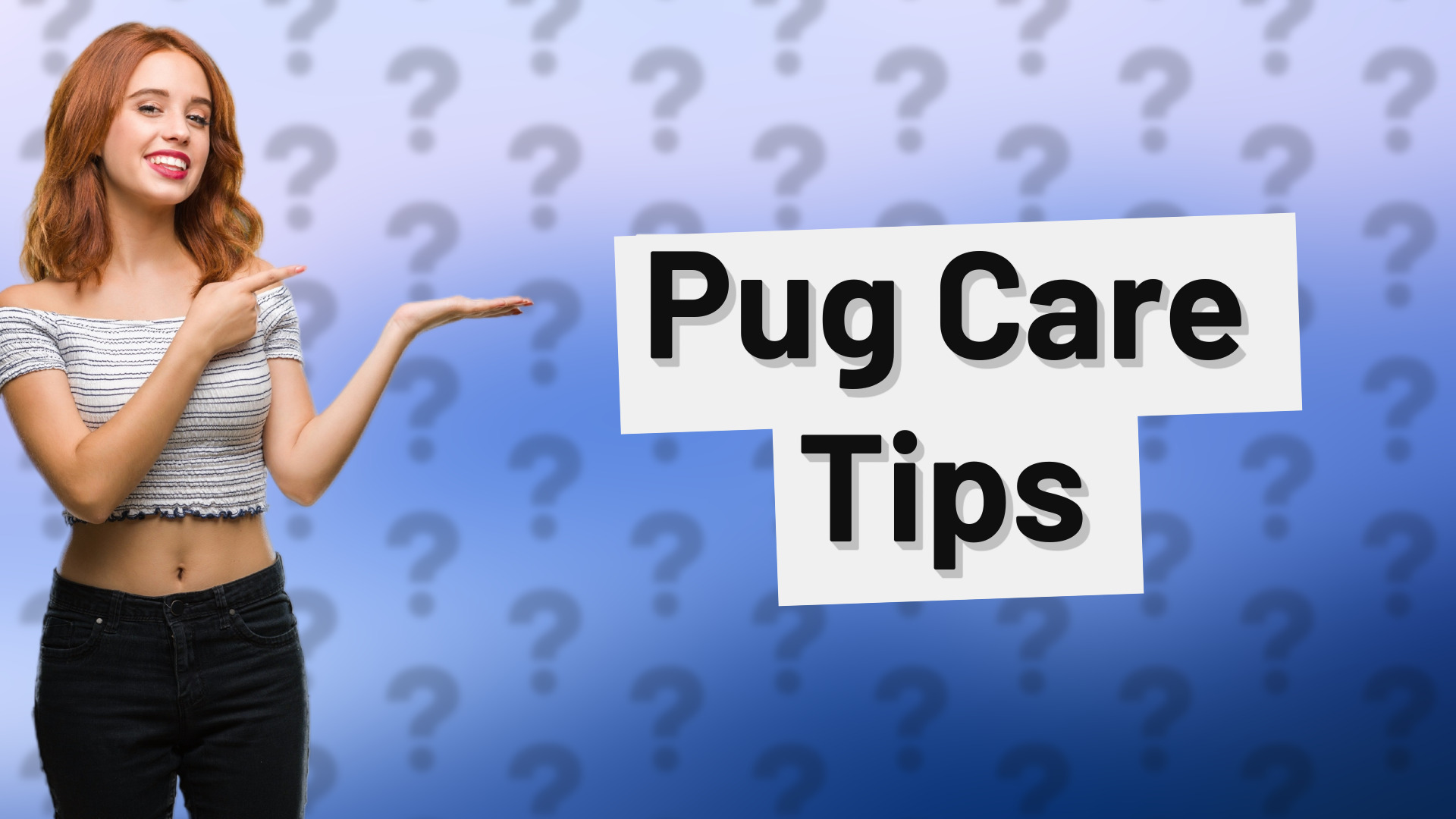 Pug Care Tips
