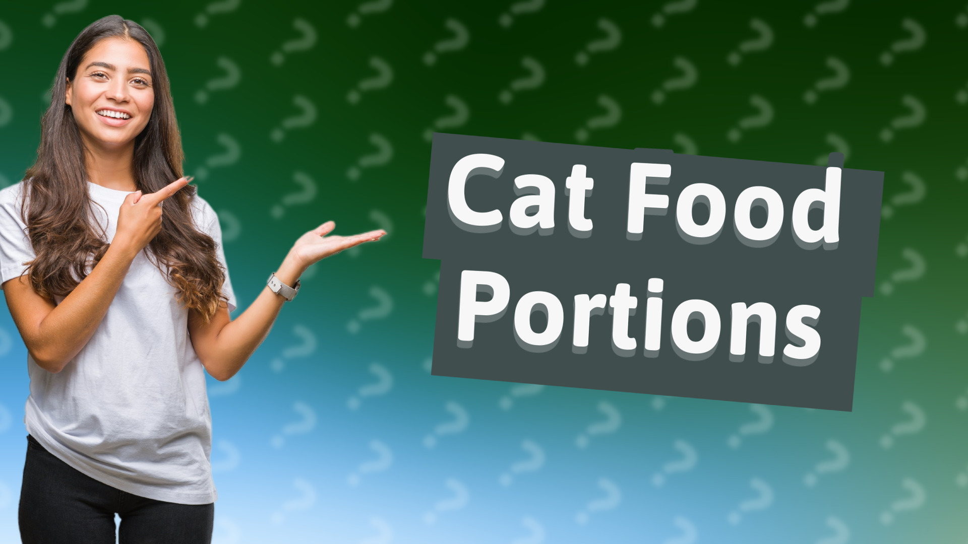 Cat Food Portions