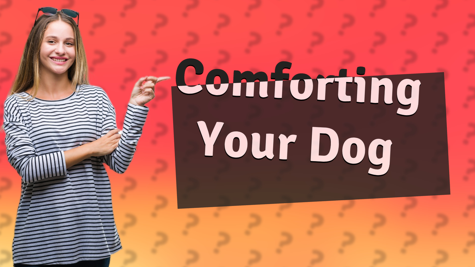 Comforting Your Dog