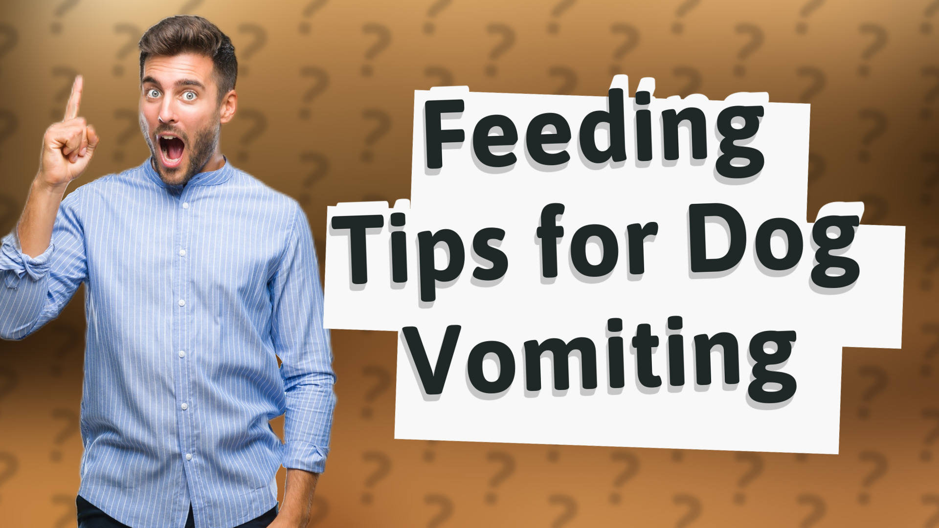 Feeding Tips for Dog Vomiting