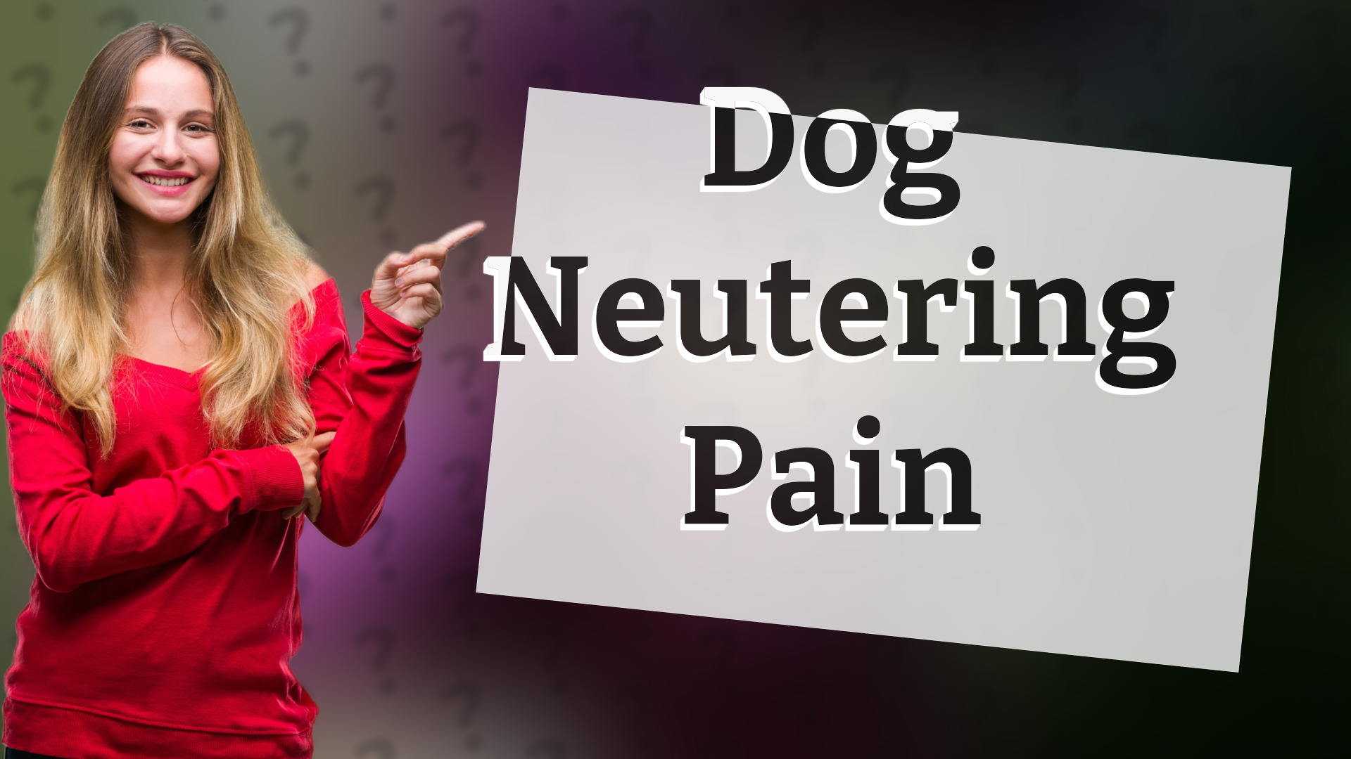 Dog Neutering Pain