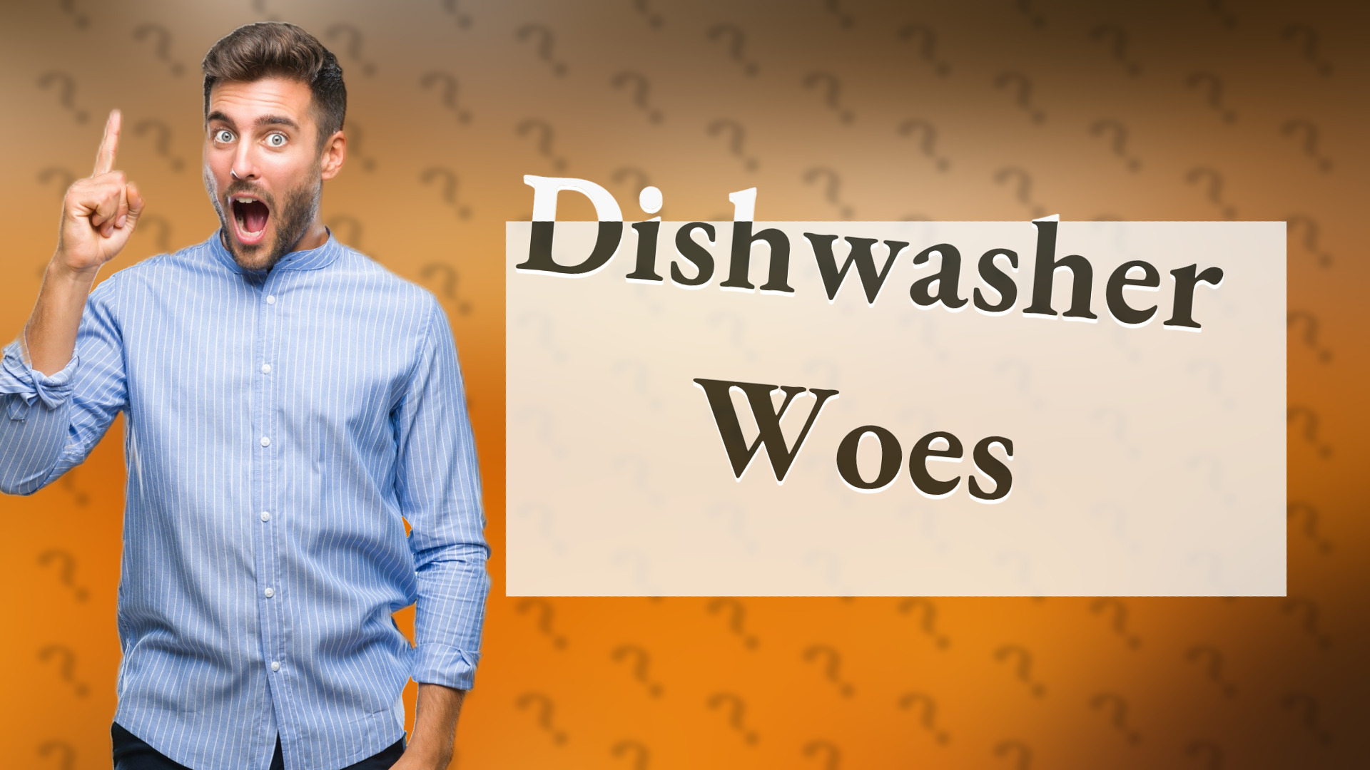 Dishwasher Woes